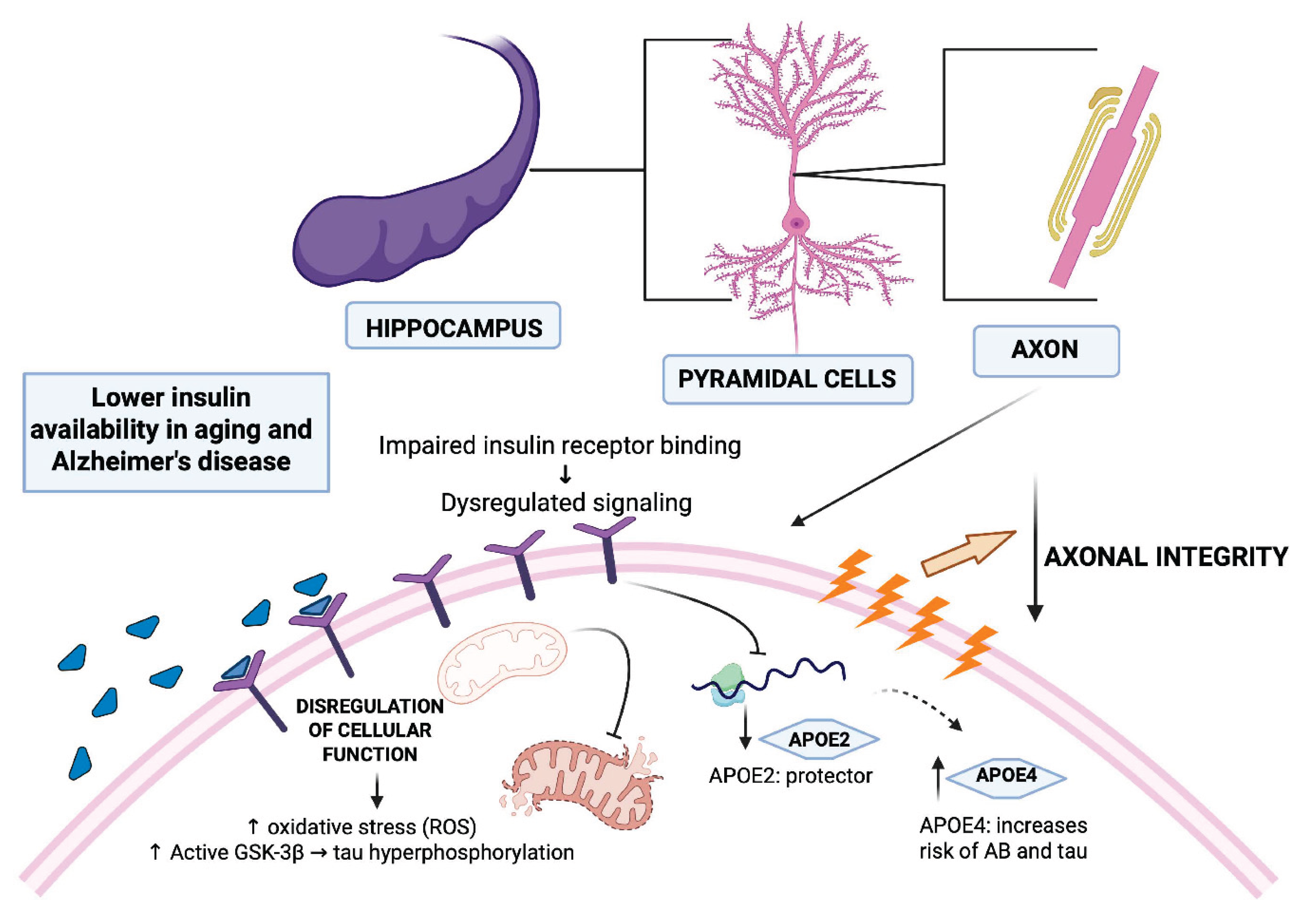 Preprints 200060 g004