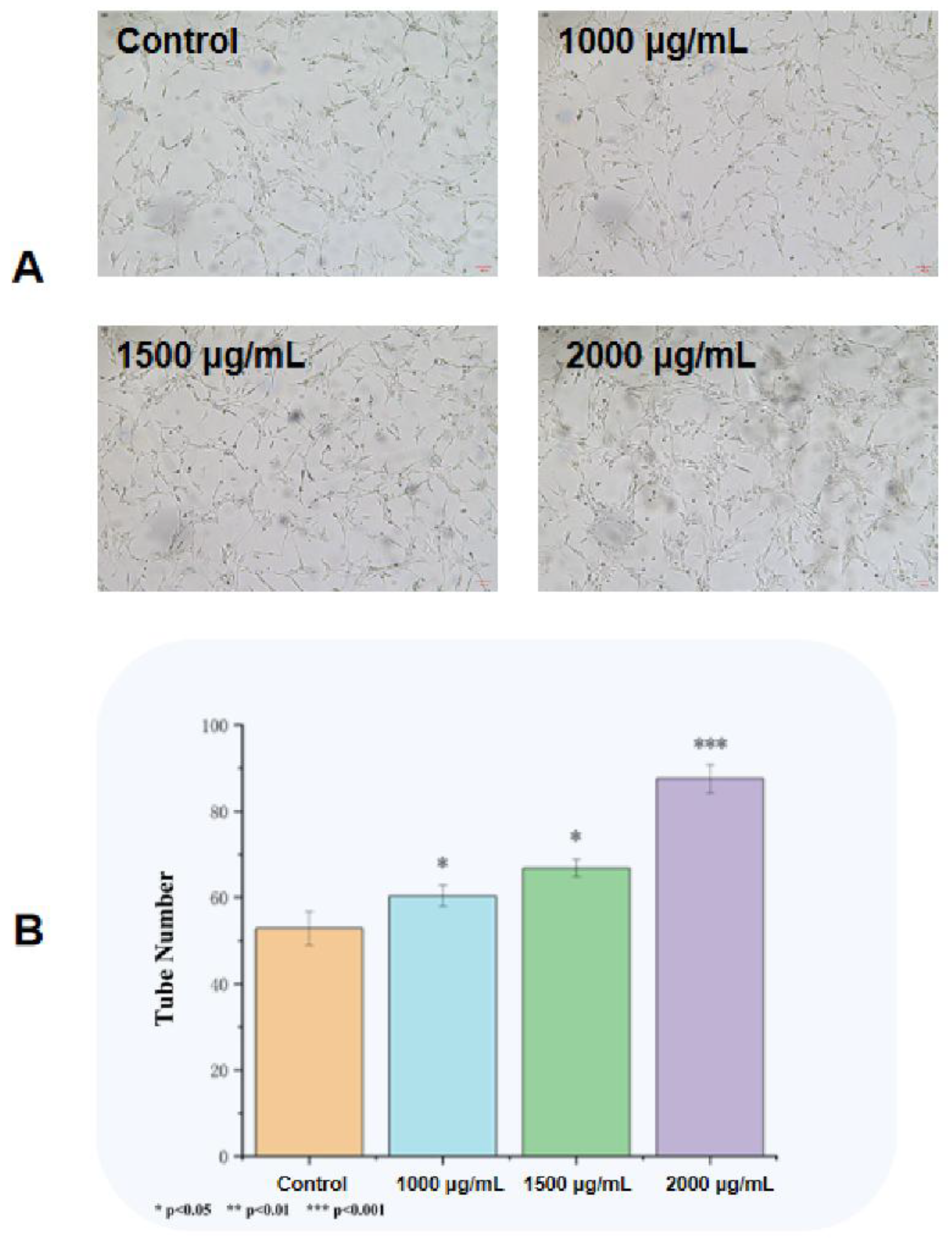 Preprints 164843 g004