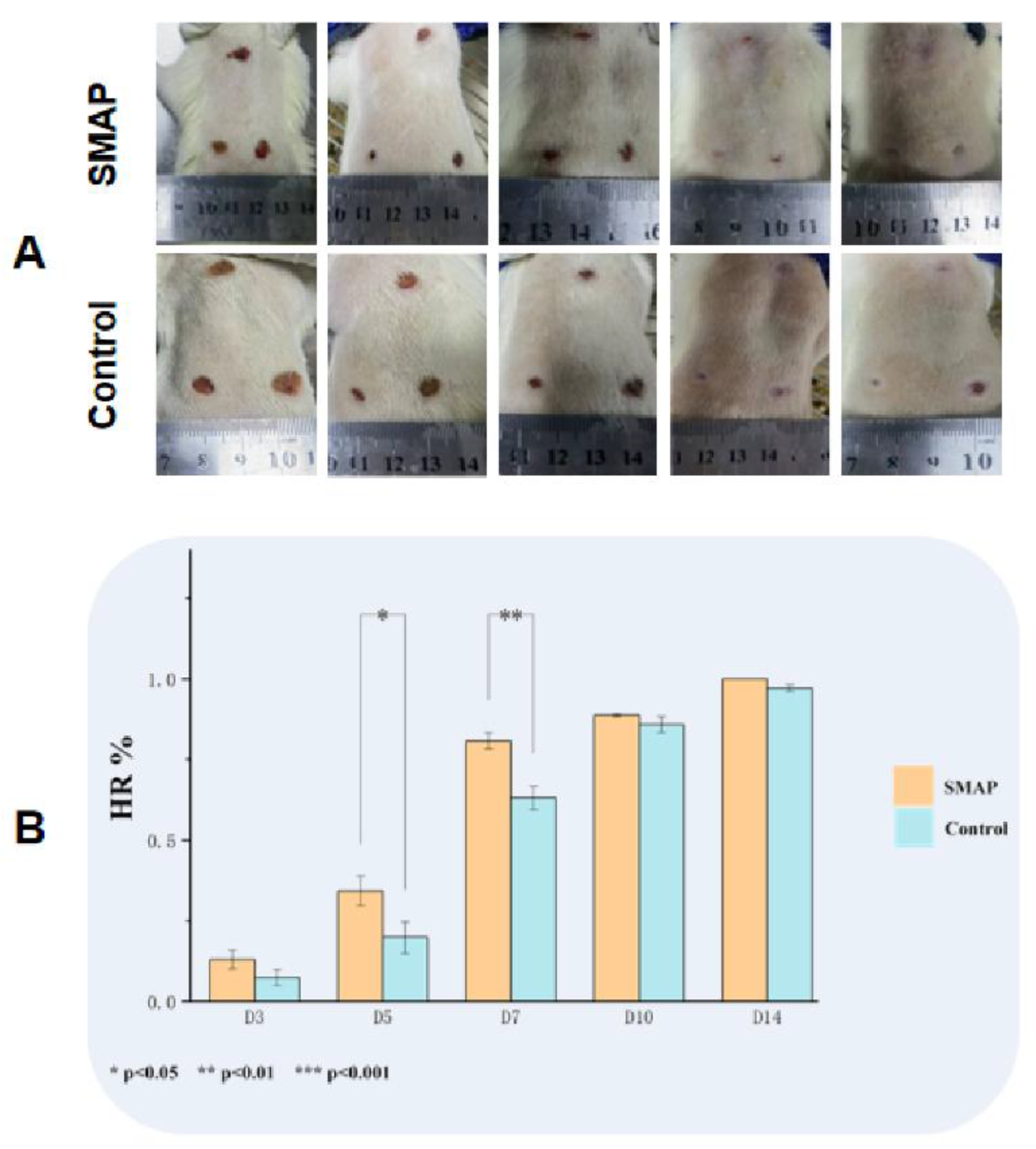 Preprints 164843 g005