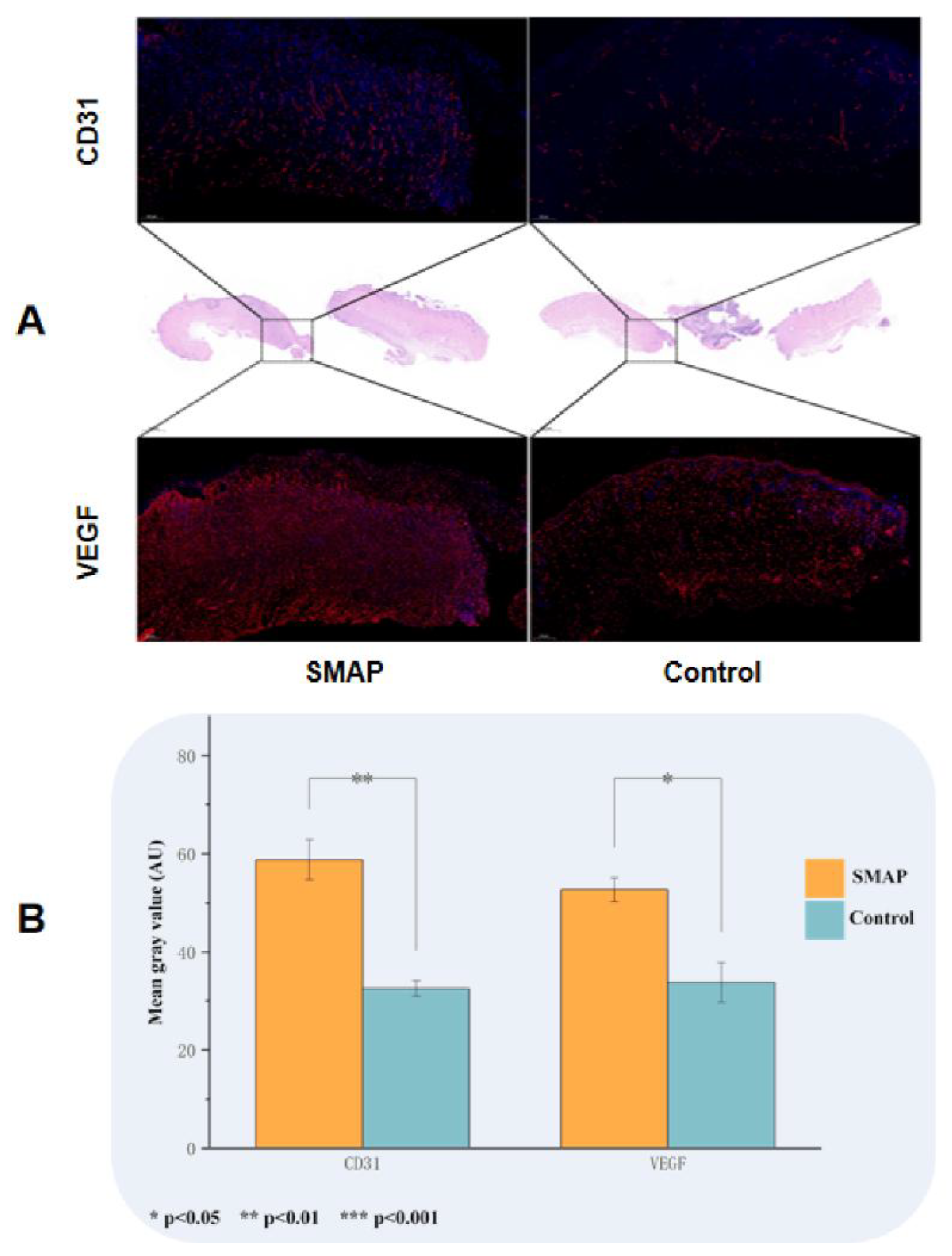 Preprints 164843 g006