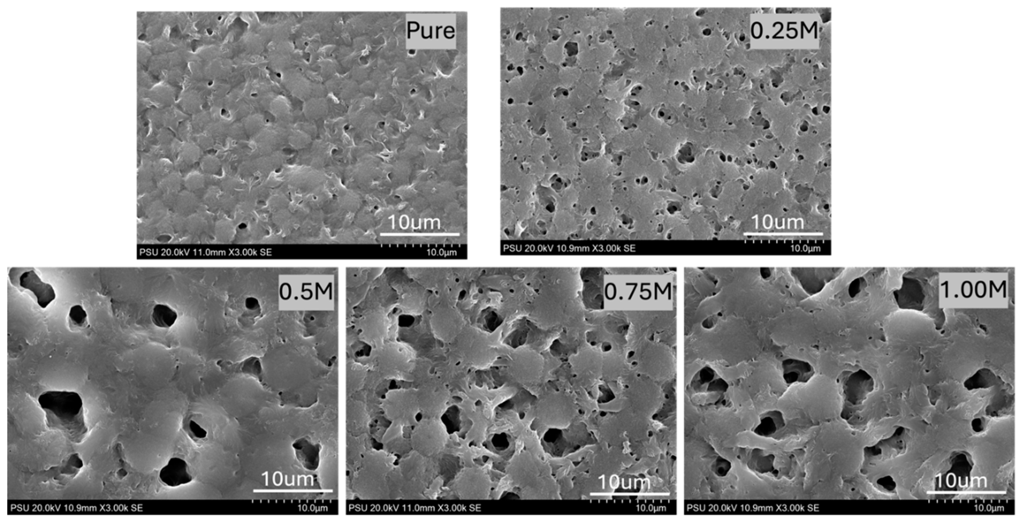 Preprints 153952 g002