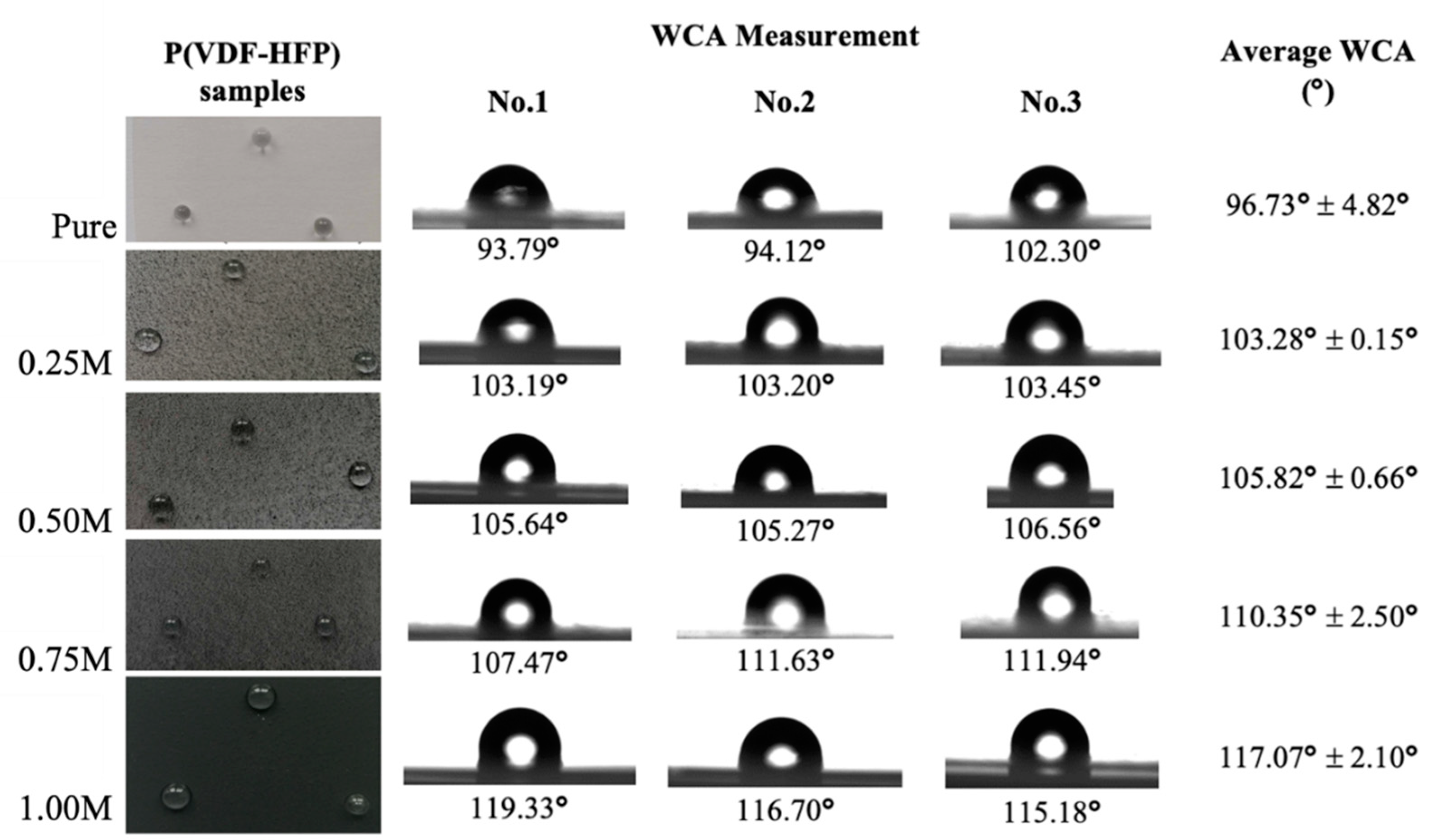 Preprints 153952 g004