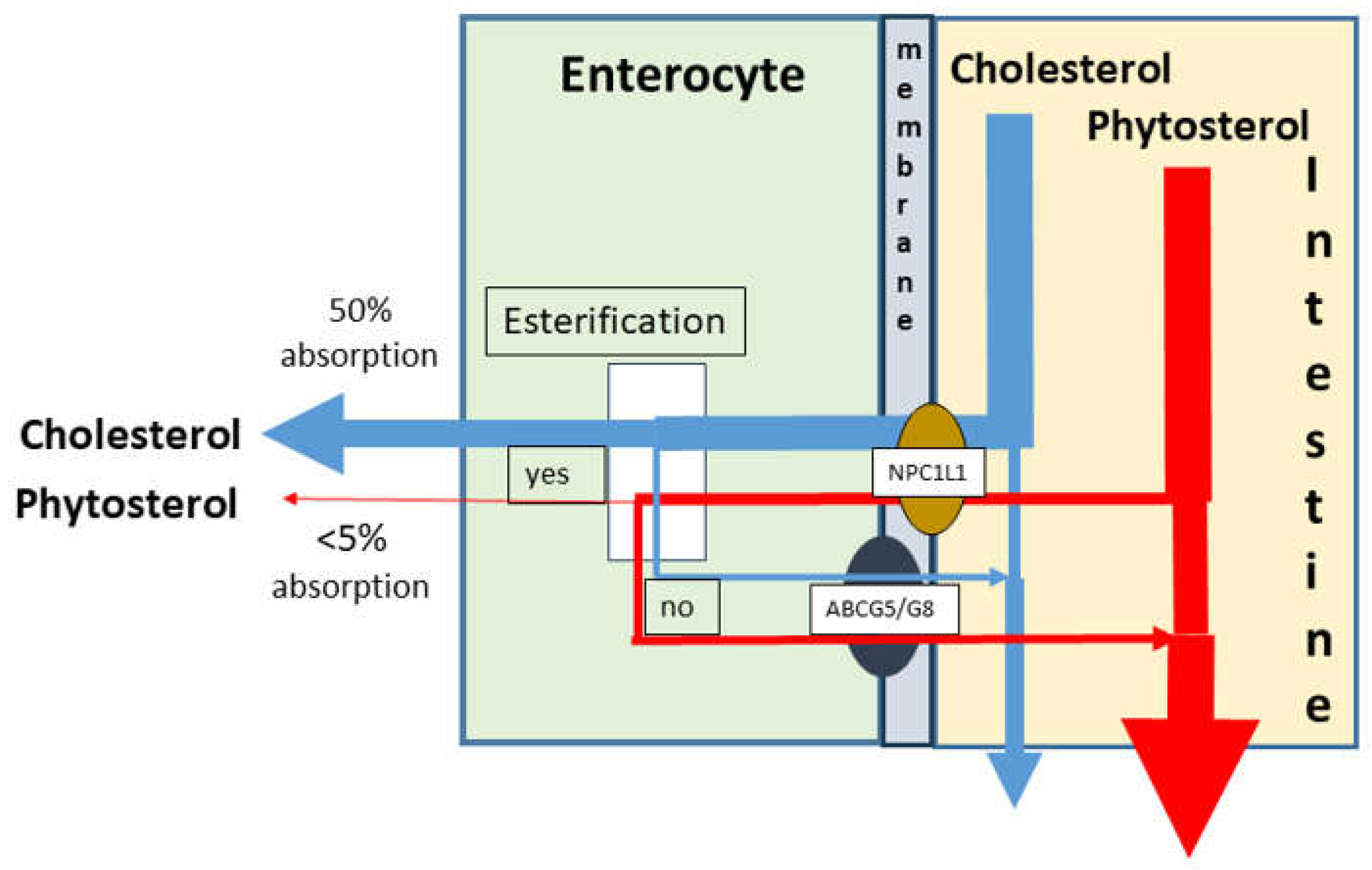Preprints 146962 g002