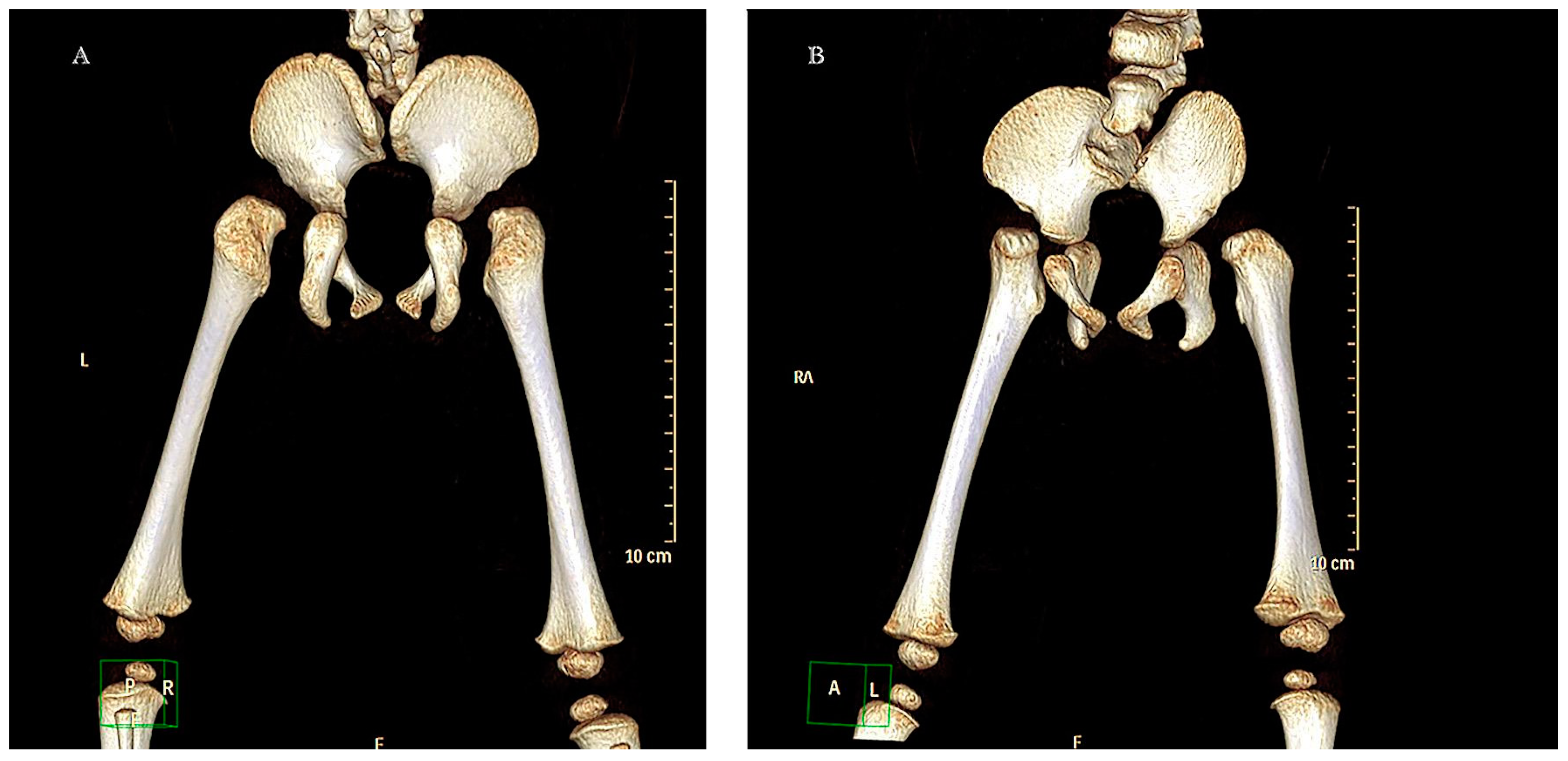 Preprints 145347 g002