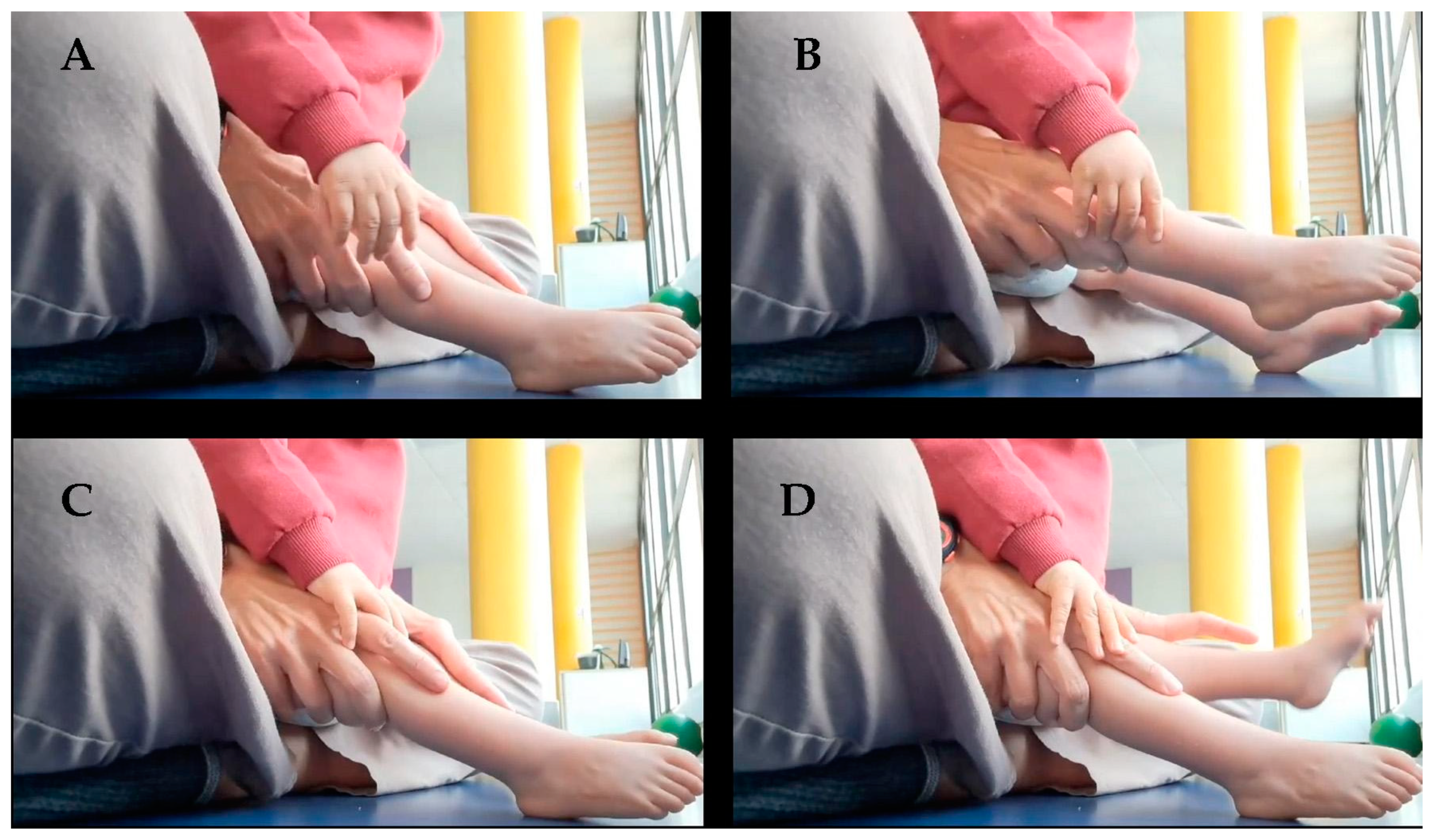 Preprints 145347 g004