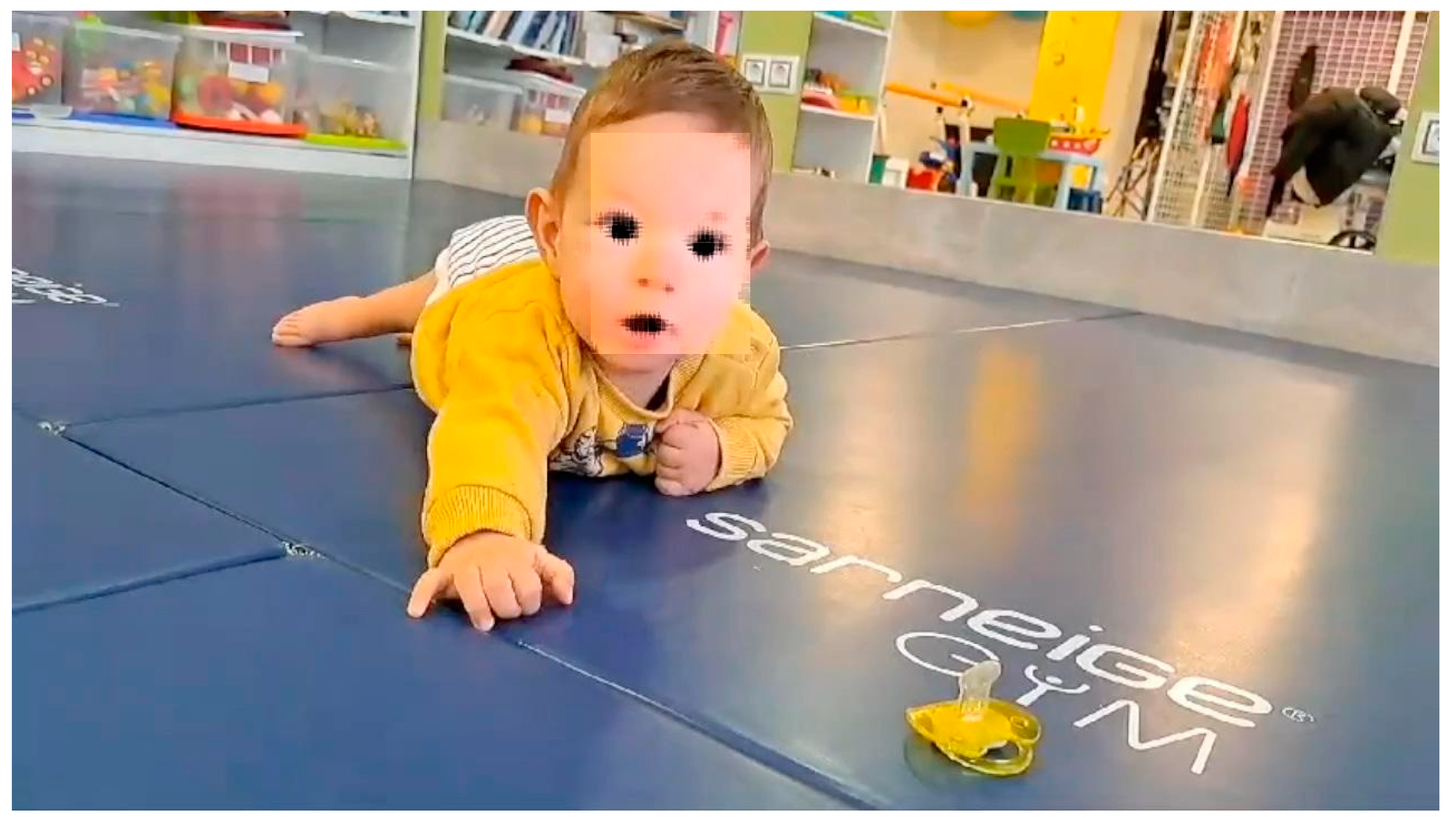 Preprints 145347 g005