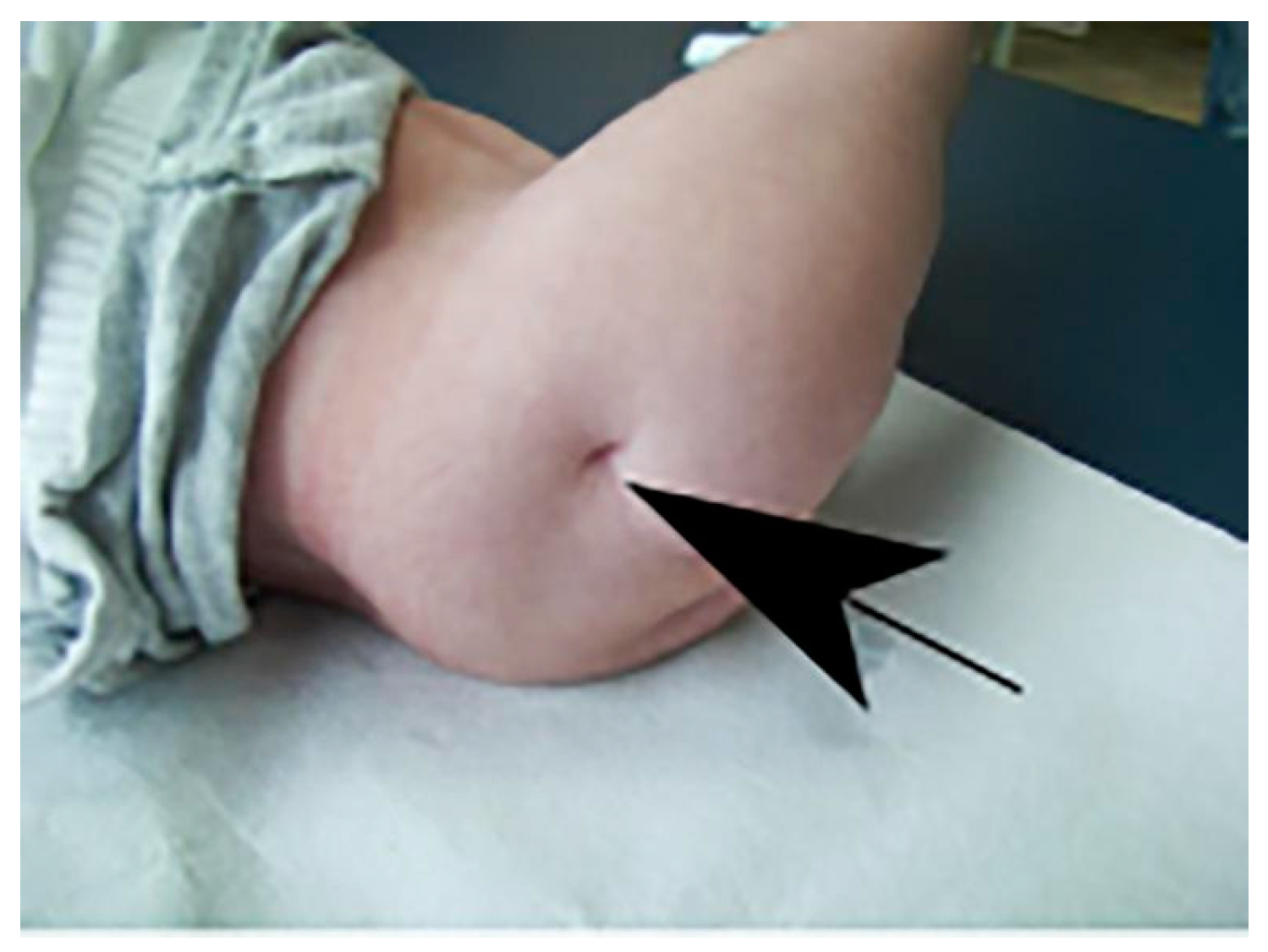 Preprints 145347 g008