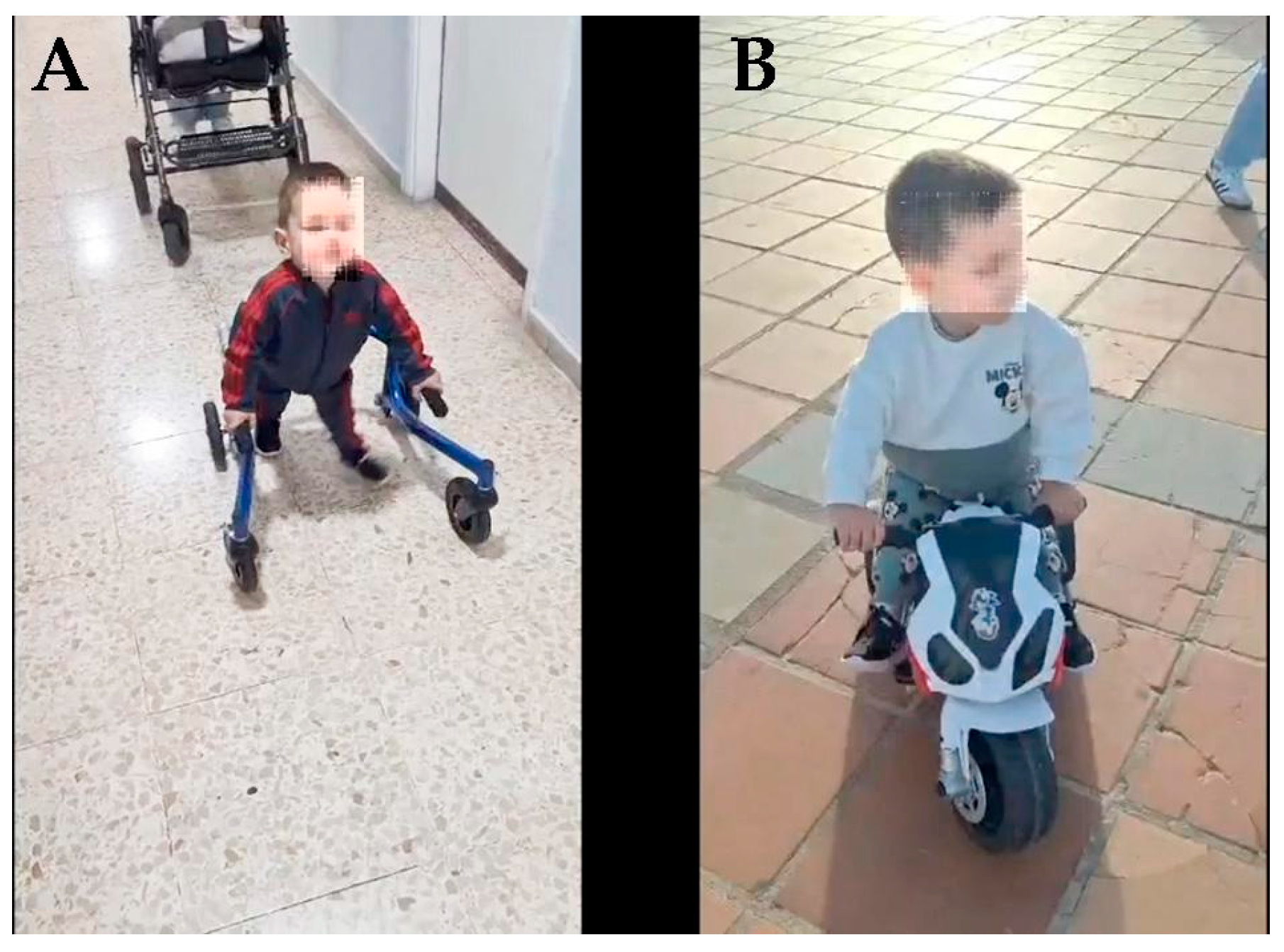 Preprints 145347 g009