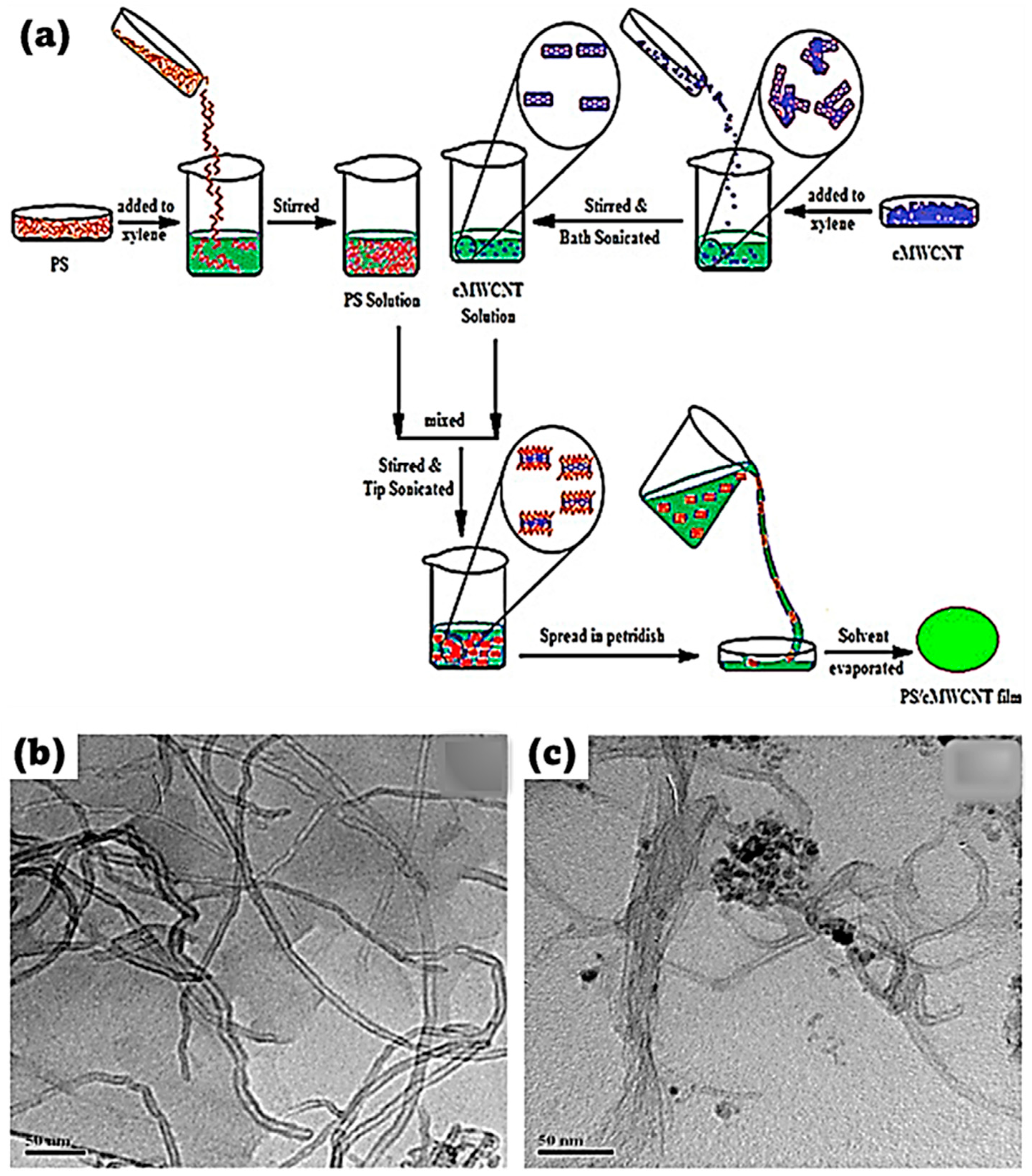 Preprints 149005 g002
