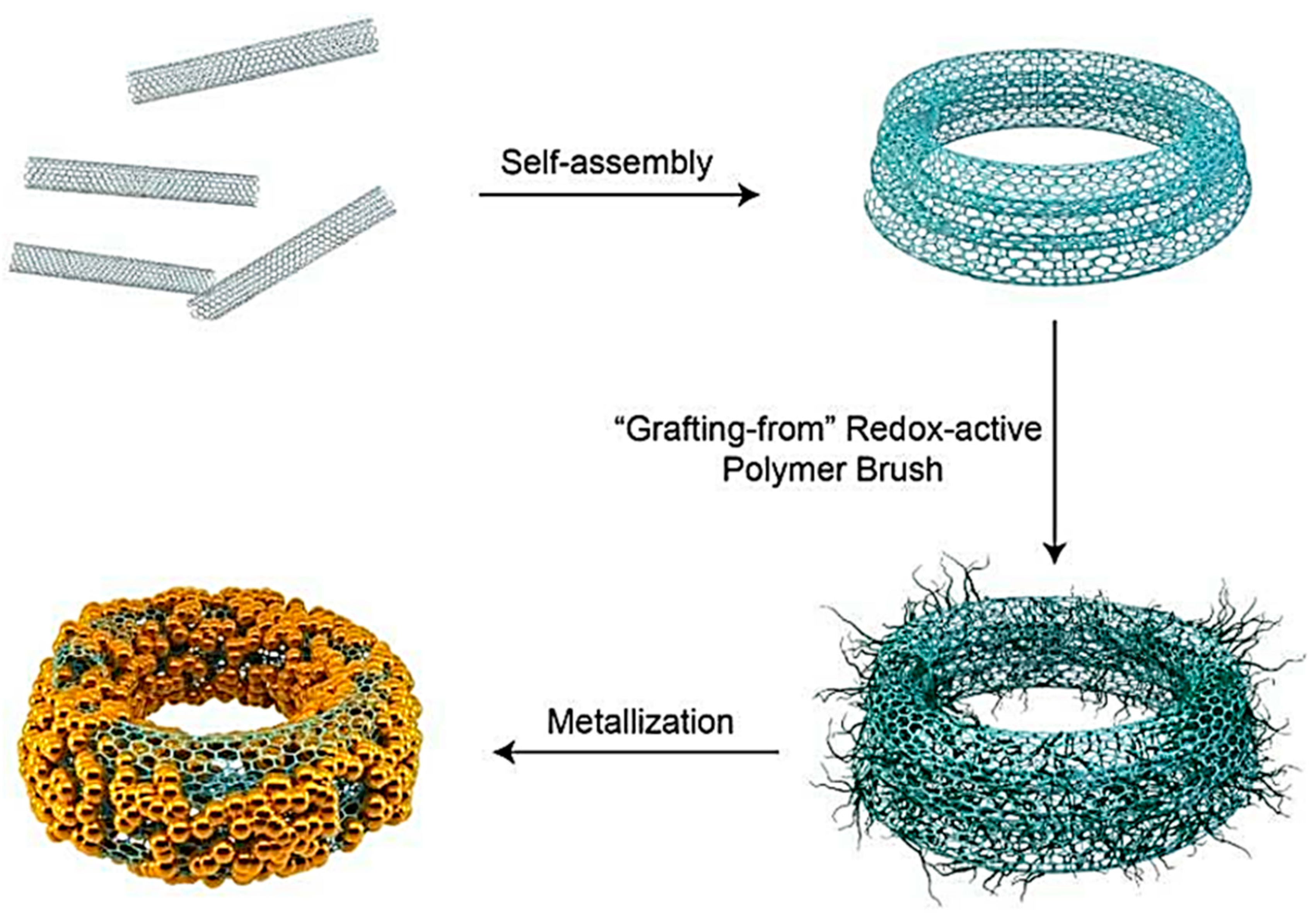Preprints 149005 g007