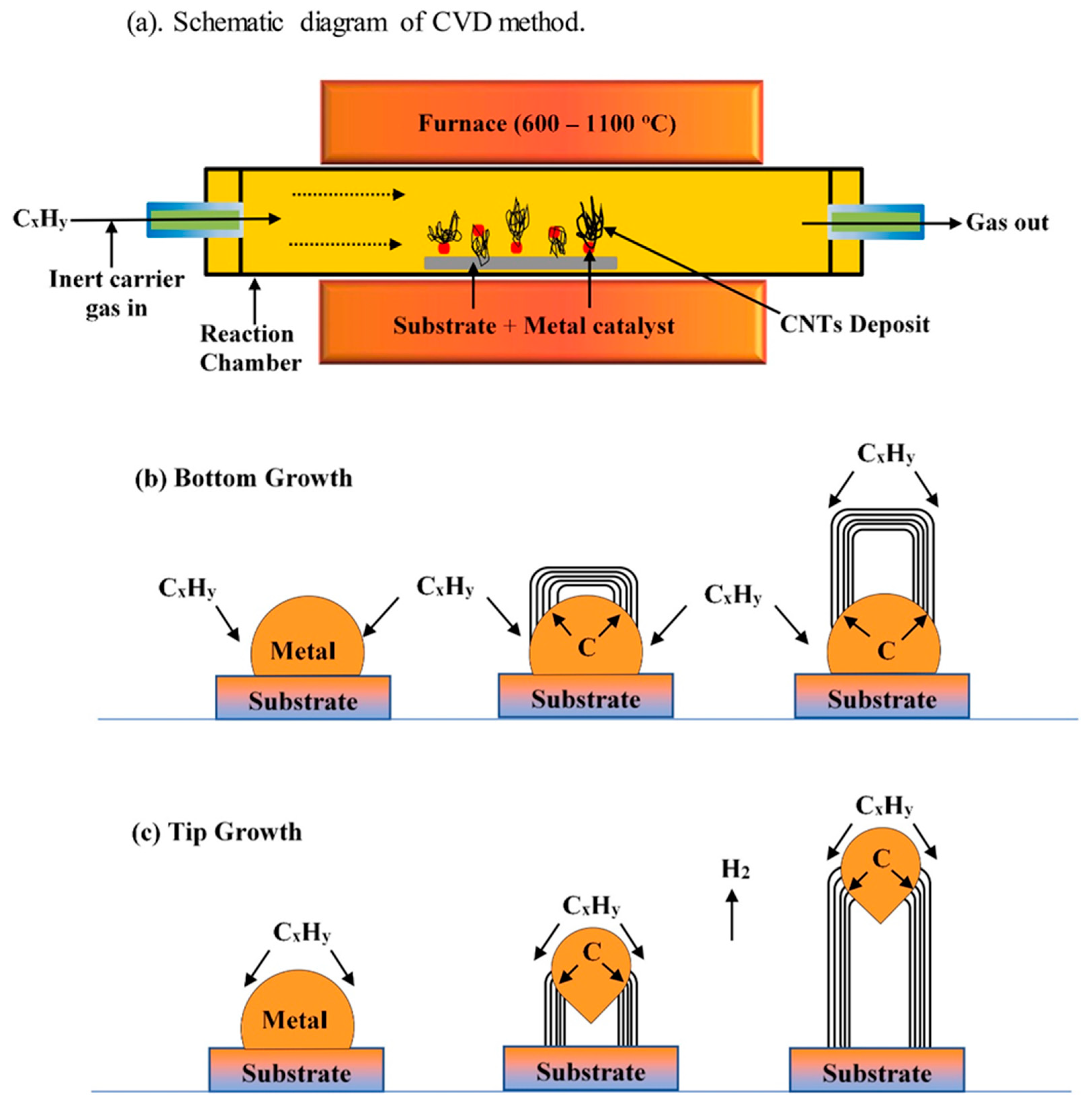 Preprints 149005 g012