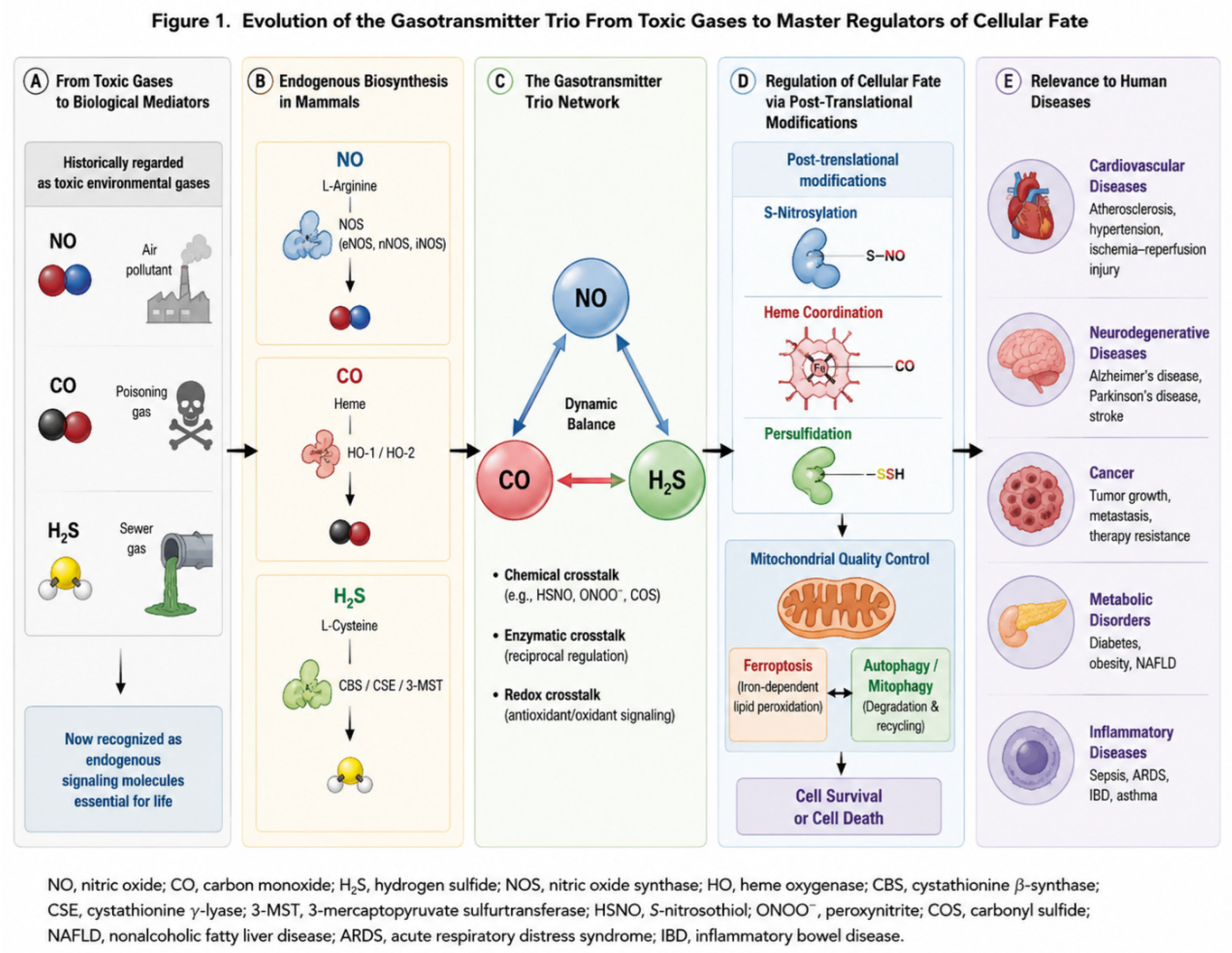 Preprints 219094 g001 Preprints 219094 g001