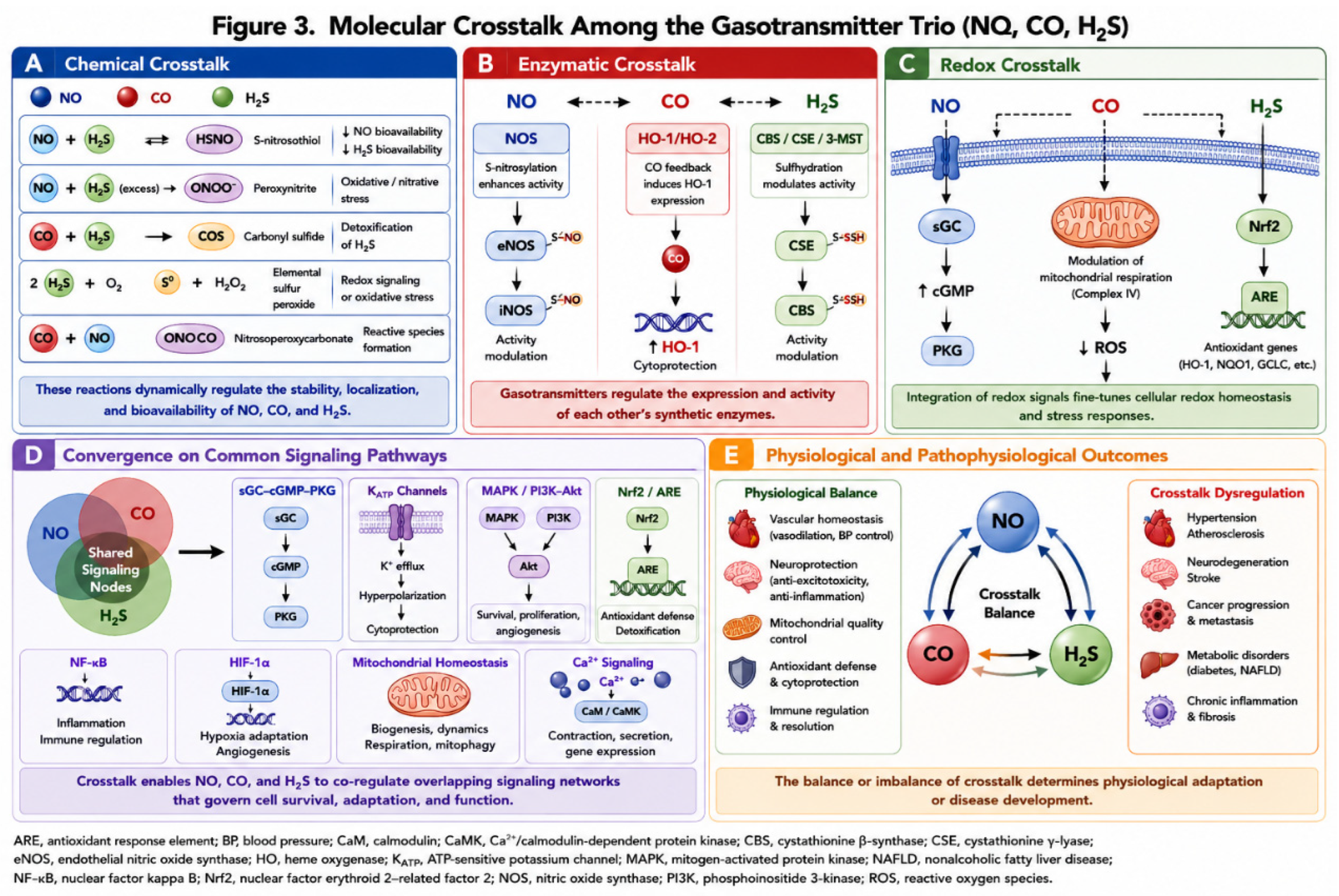 Preprints 219094 g003 Preprints 219094 g003