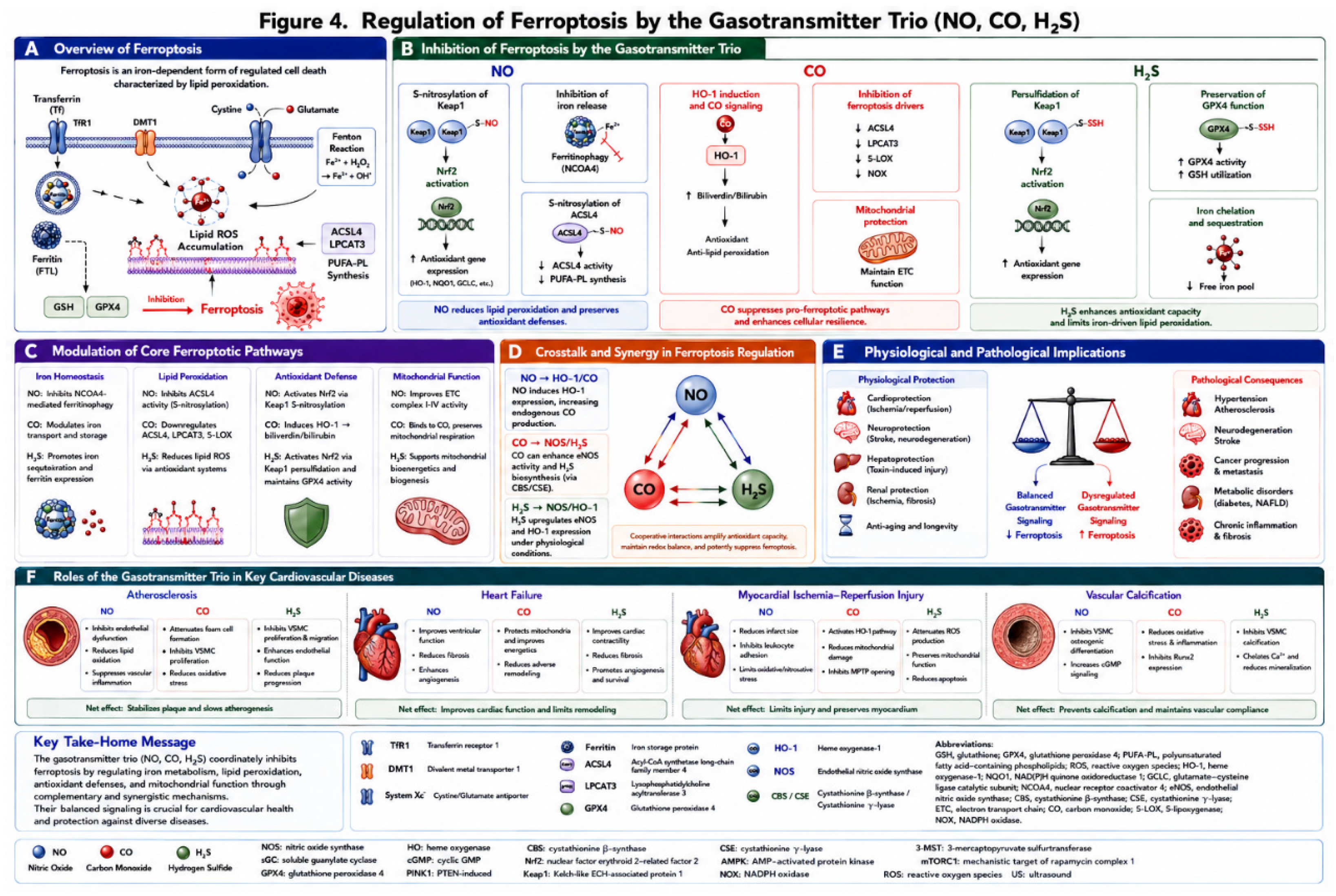 Preprints 219094 g004 Preprints 219094 g004