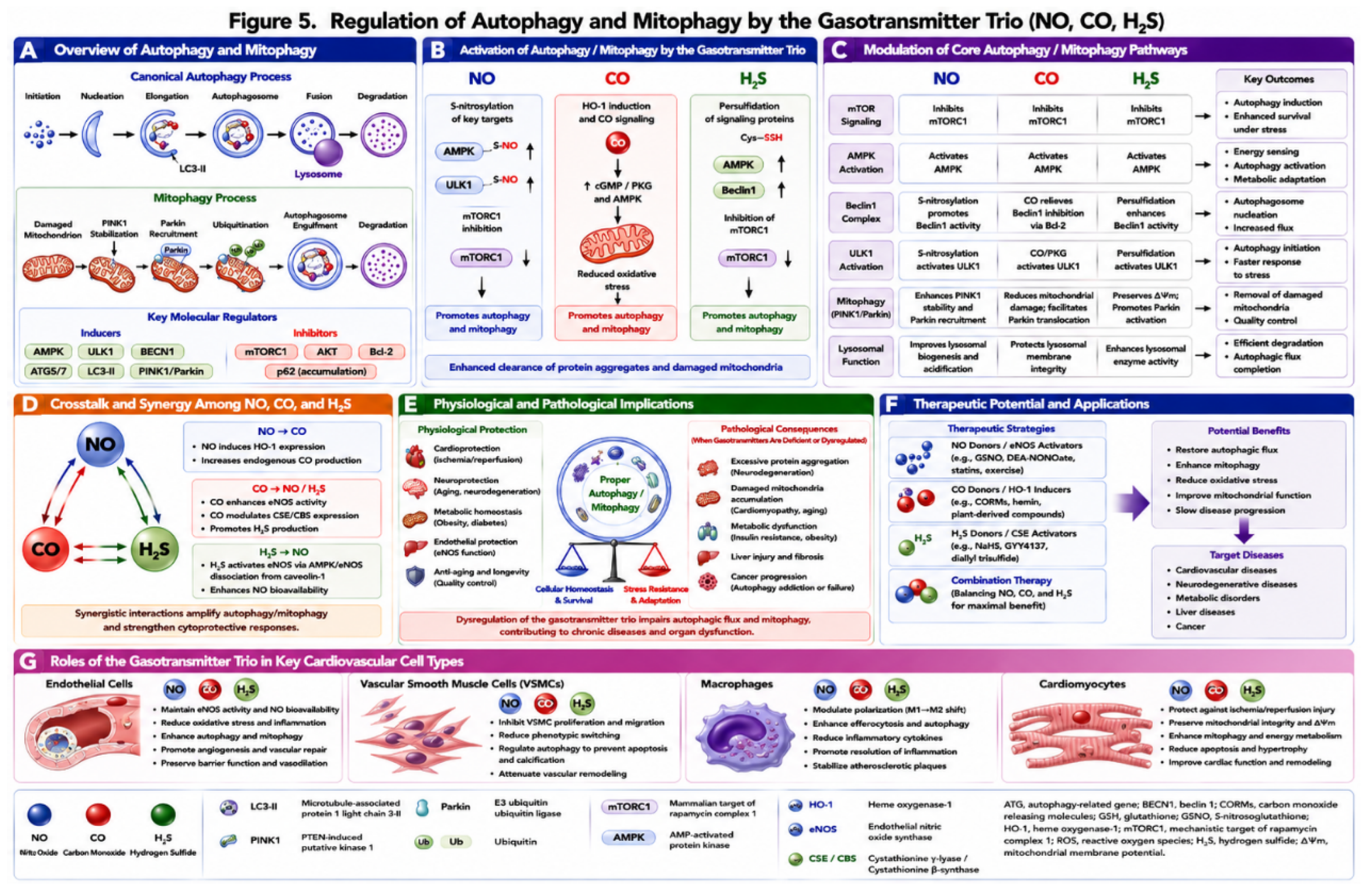 Preprints 219094 g005 Preprints 219094 g005