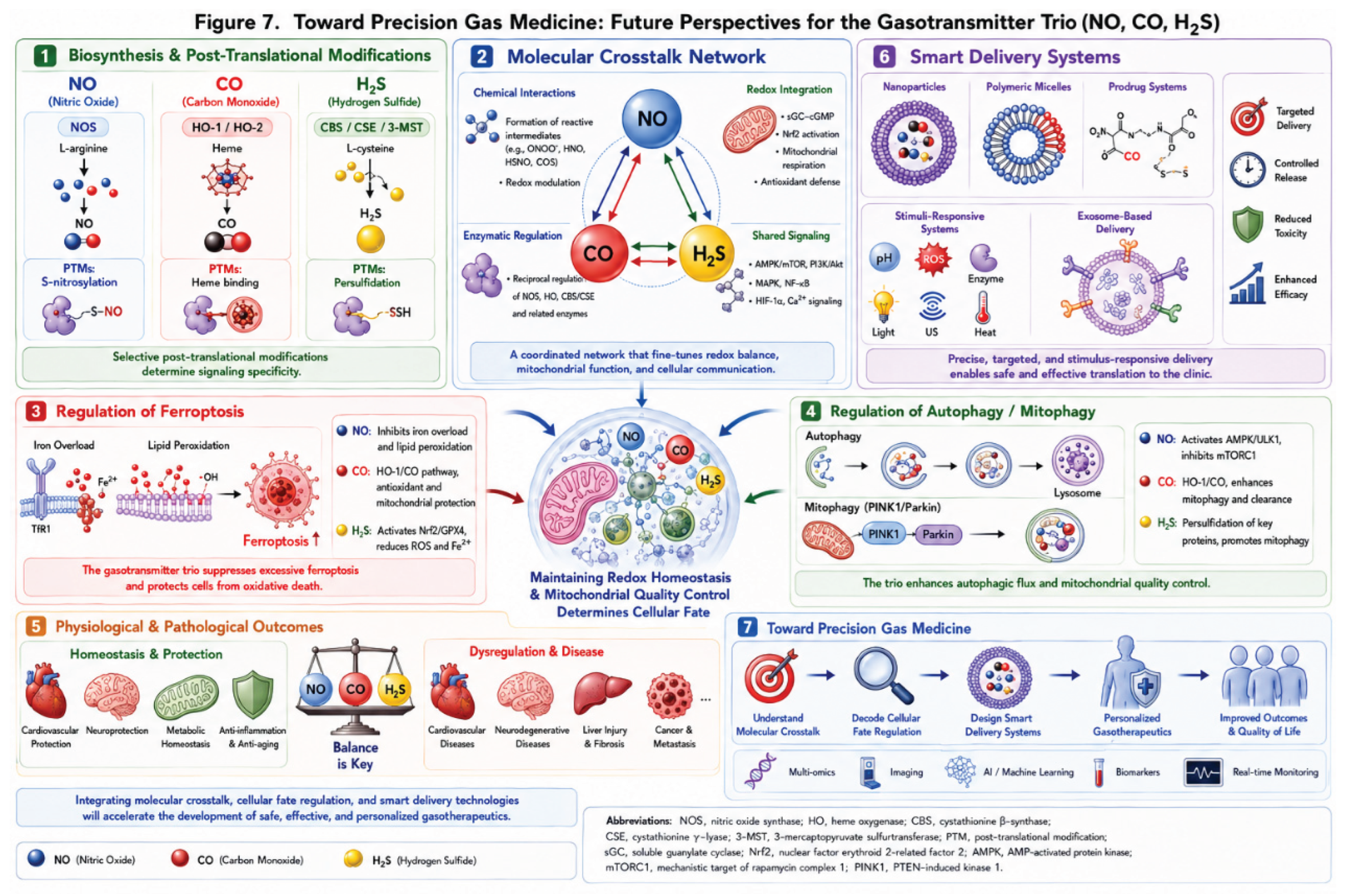 Preprints 219094 g007 Preprints 219094 g007
