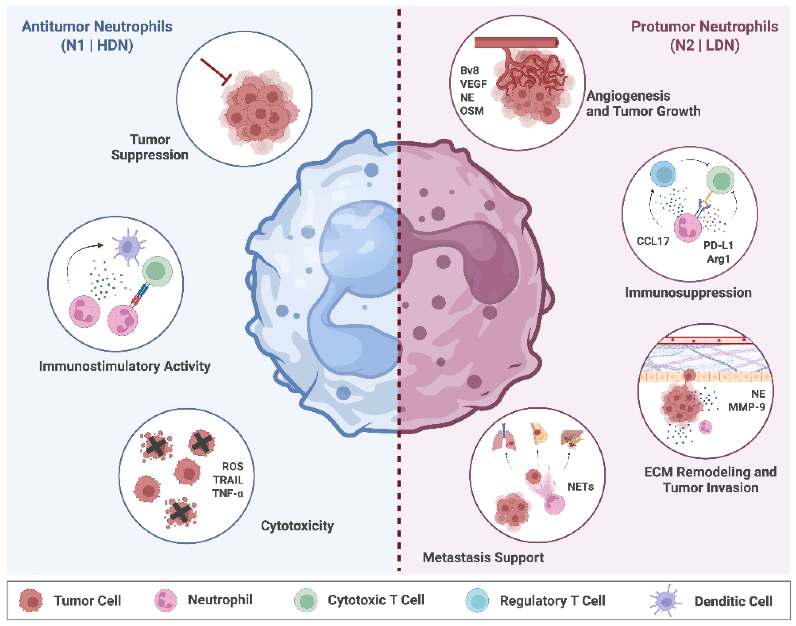 Preprints 201528 g002