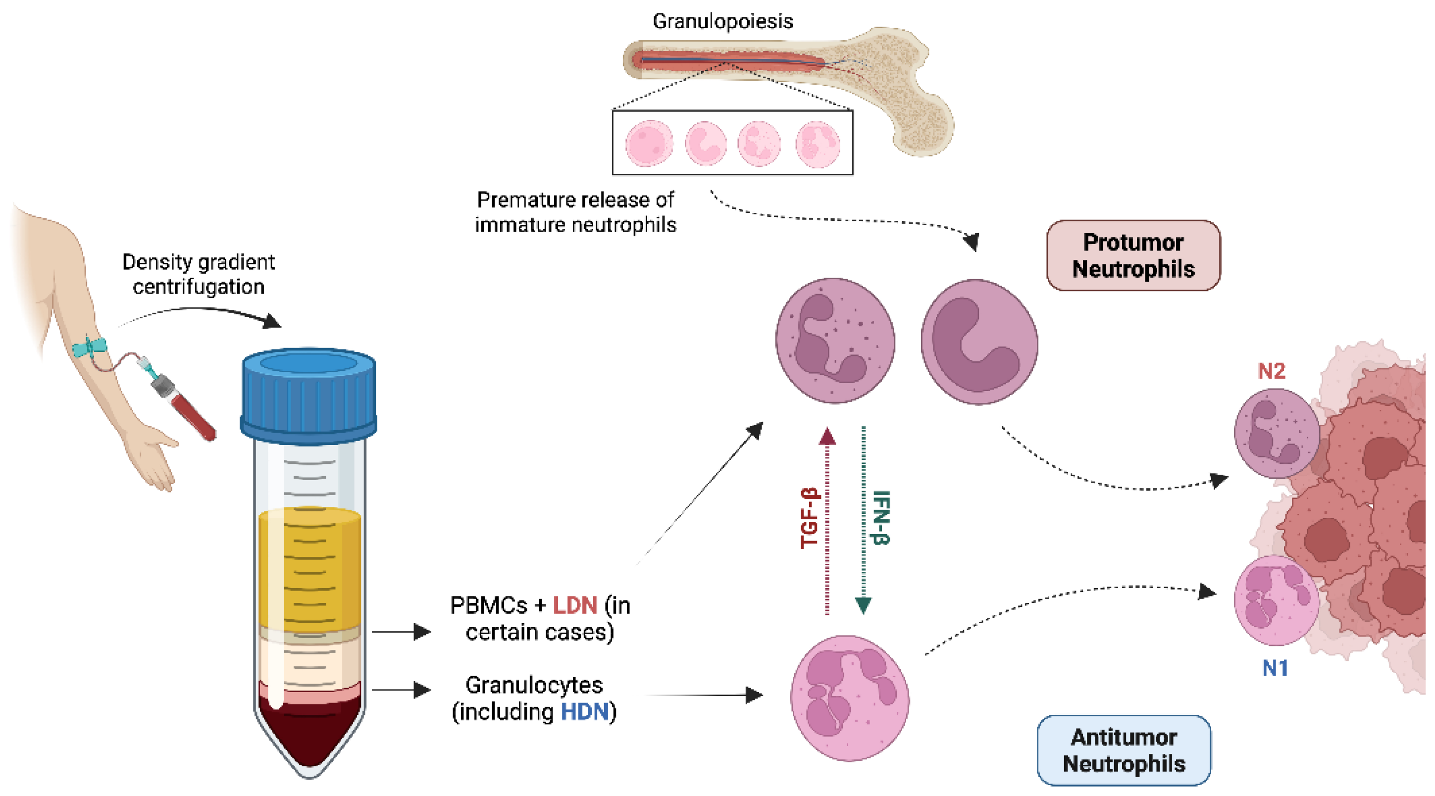 Preprints 201528 g003