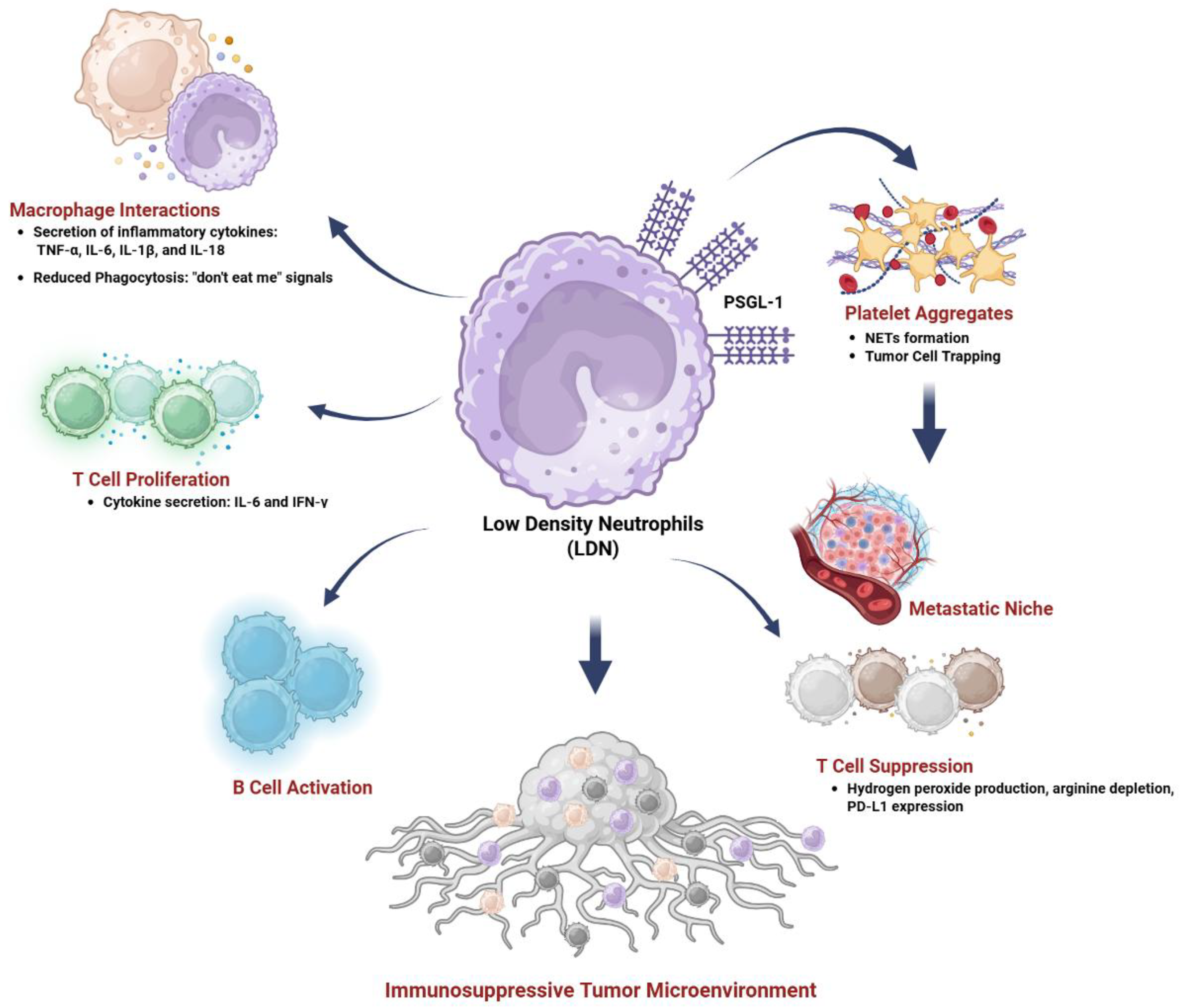 Preprints 201528 g004