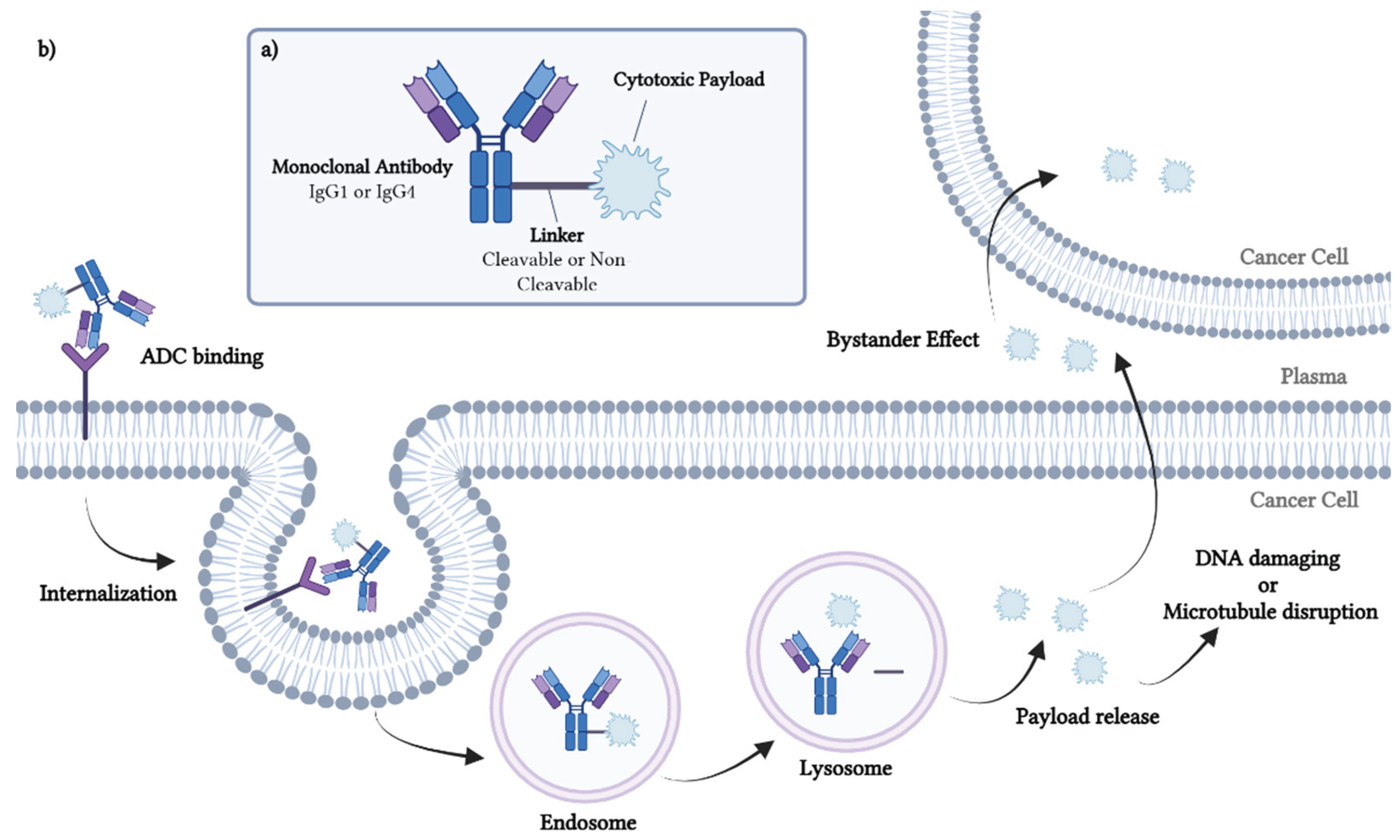 glutathione reducible linker Towards a glutathione-cleavable azobenzene for antibodydrug conjugates Linkers: An Assurance for Controlled