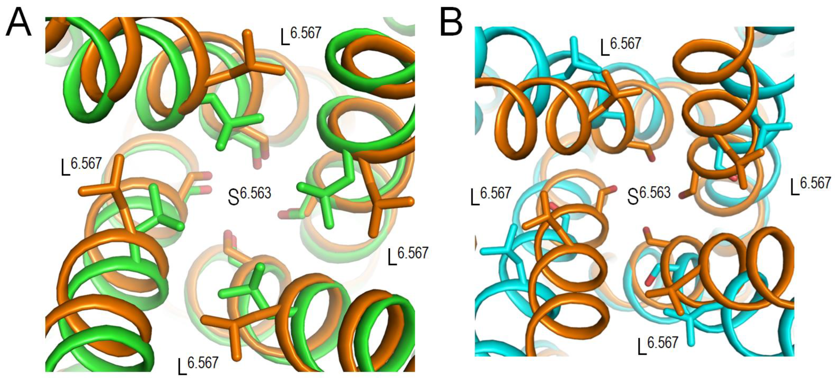 Preprints 162065 g003