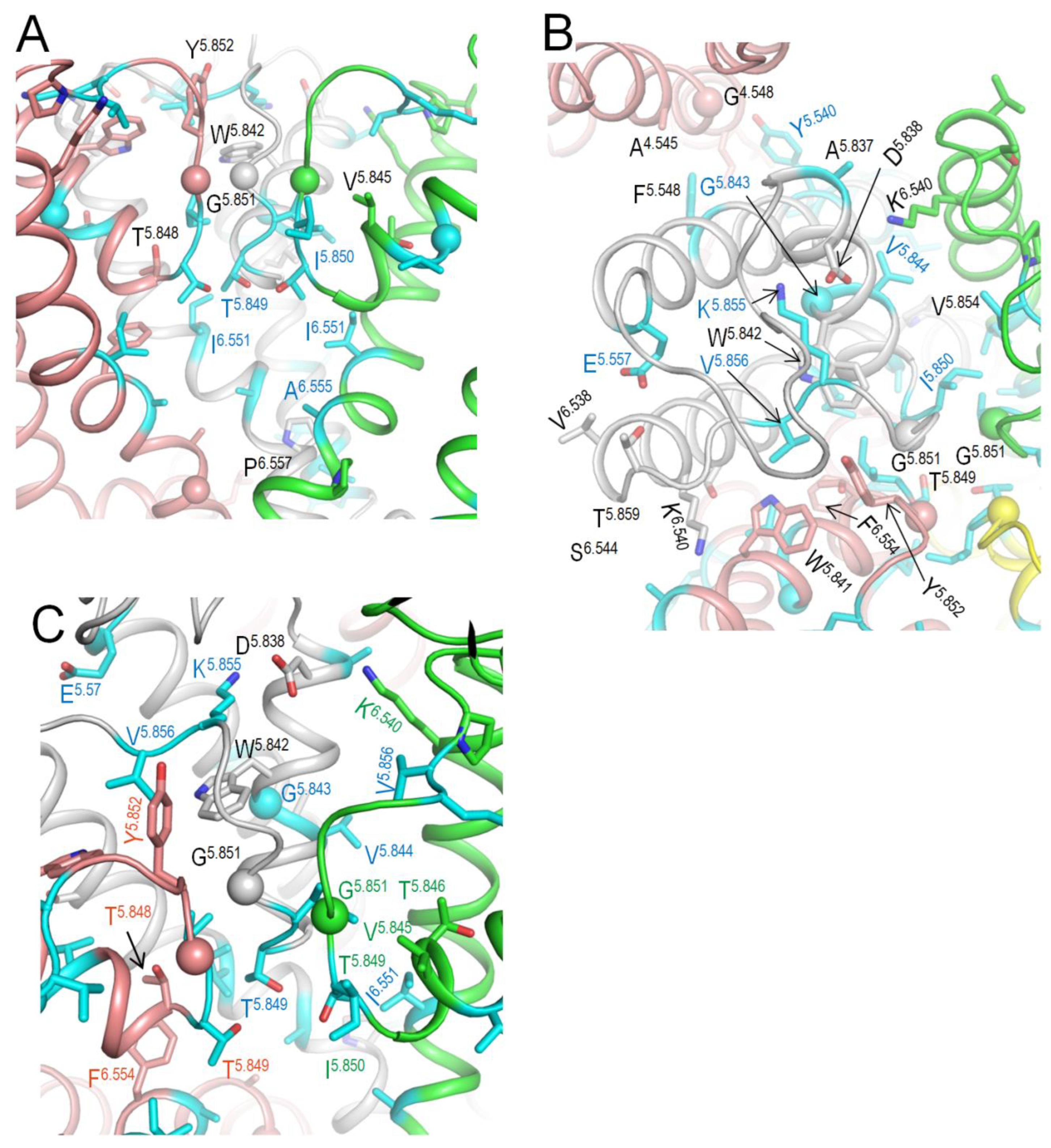 Preprints 162065 g005