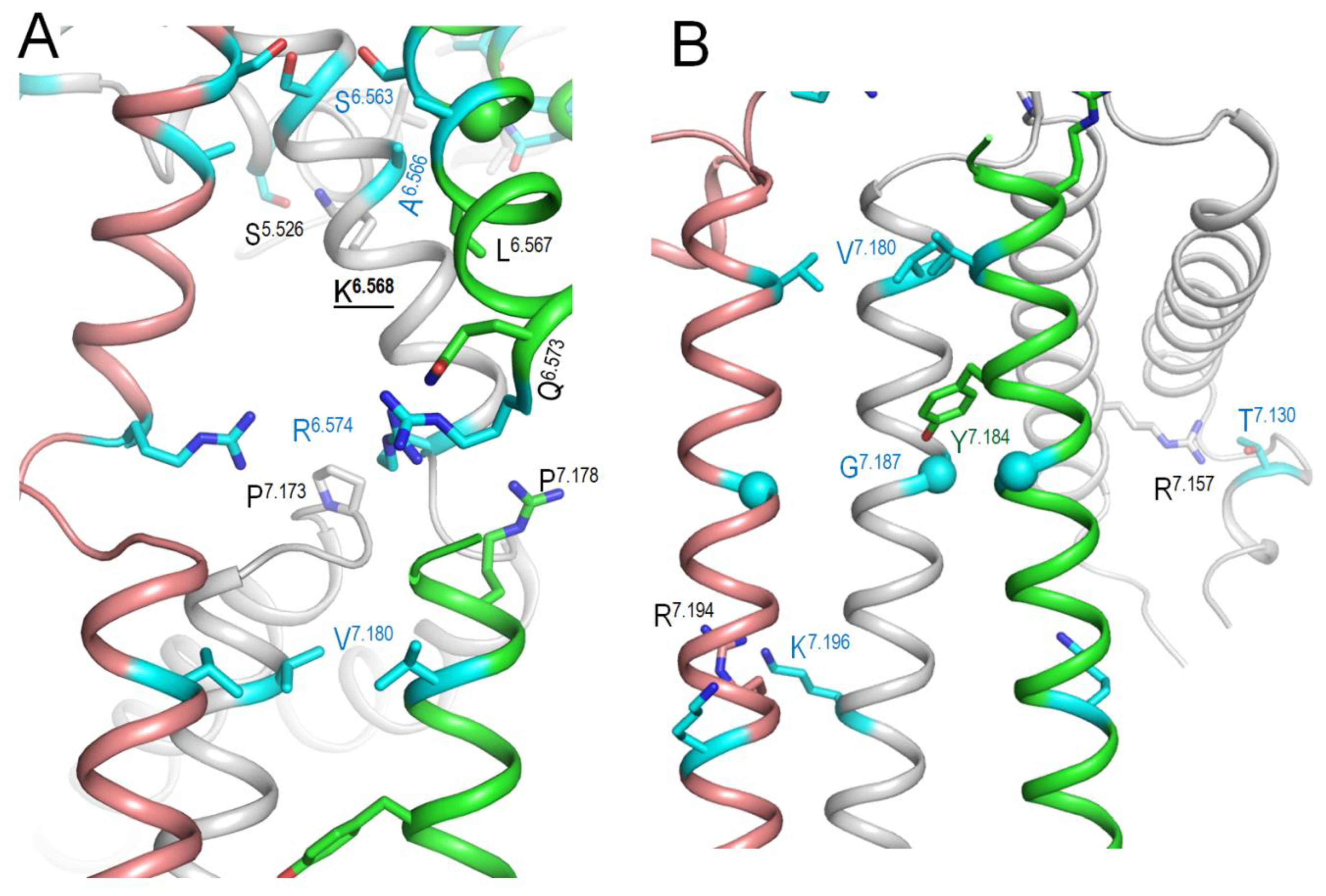 Preprints 162065 g006
