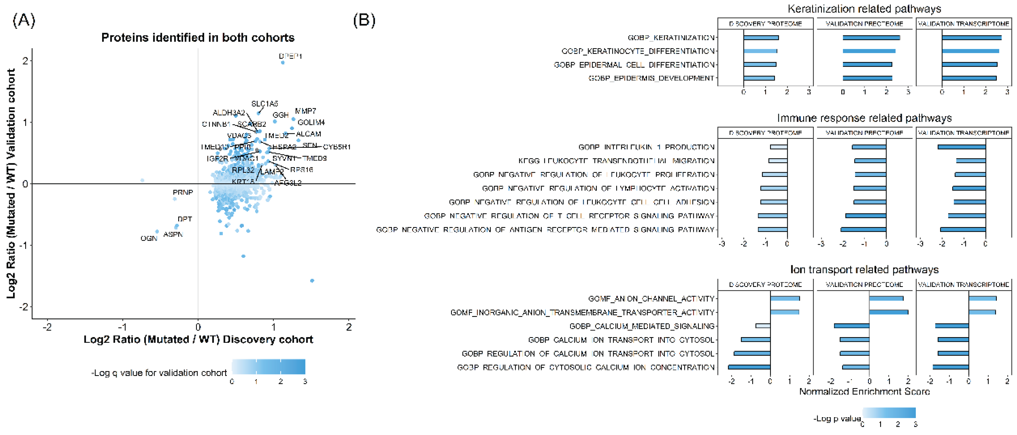 Preprints 177339 g001