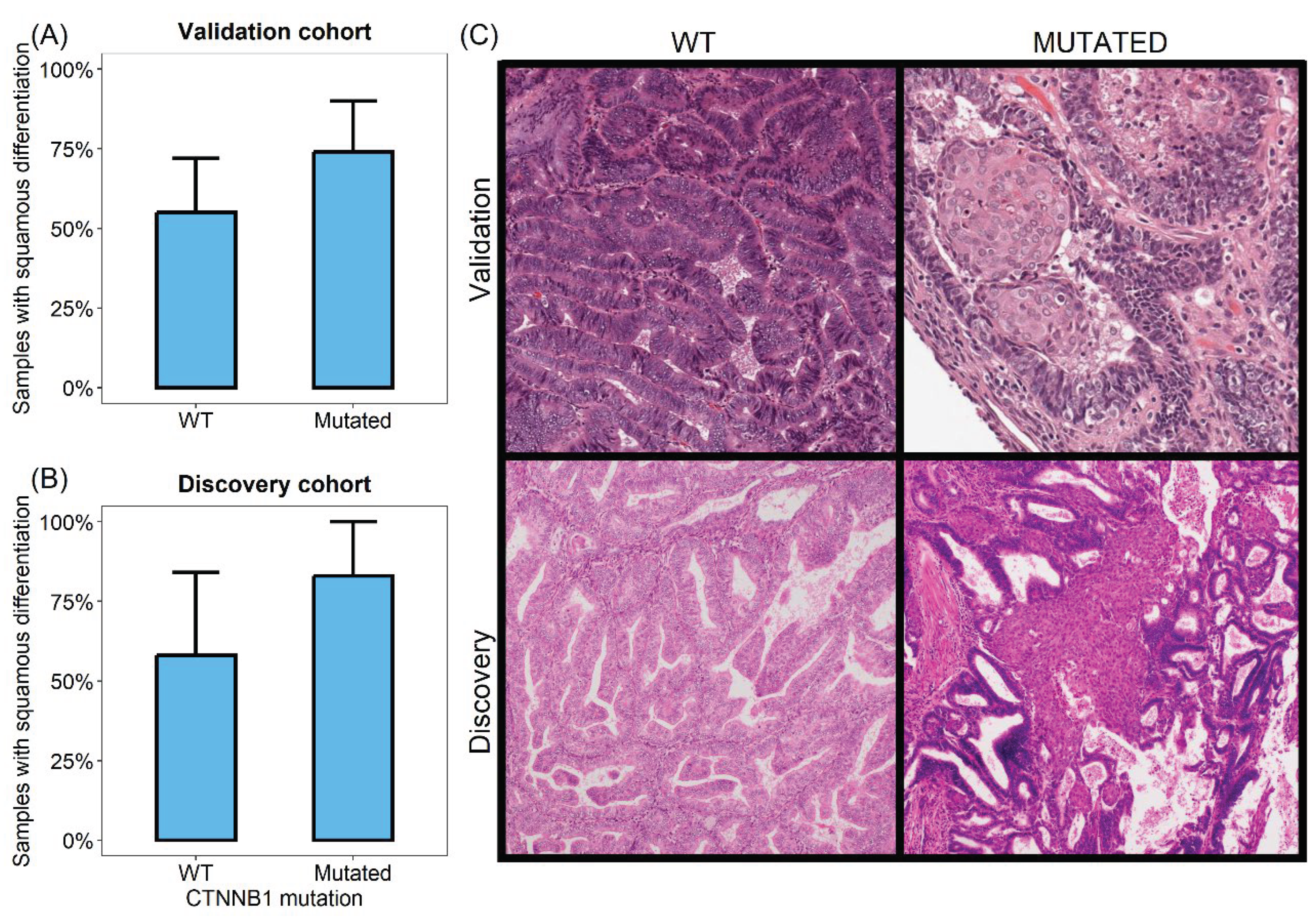 Preprints 177339 g002