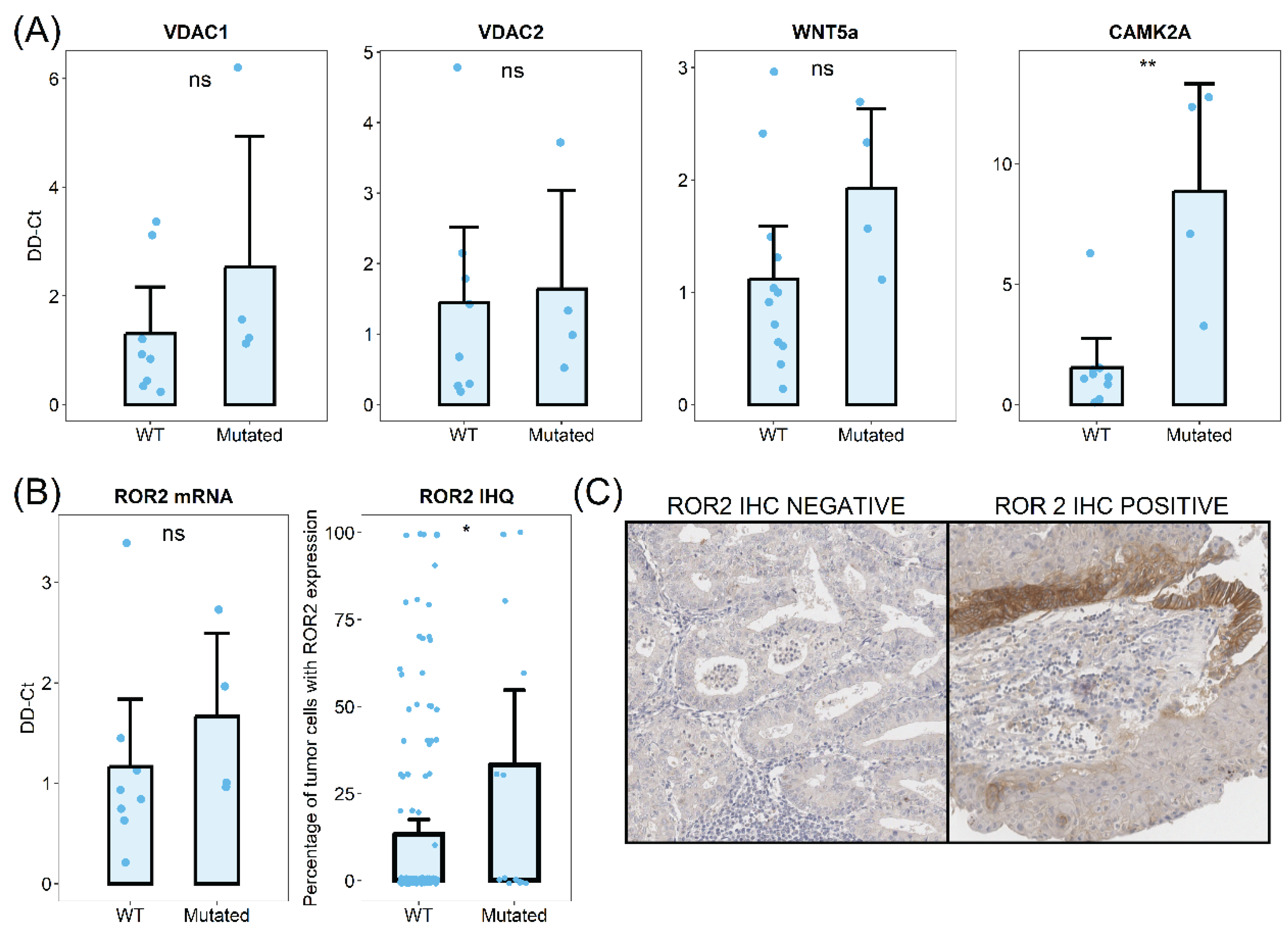 Preprints 177339 g004