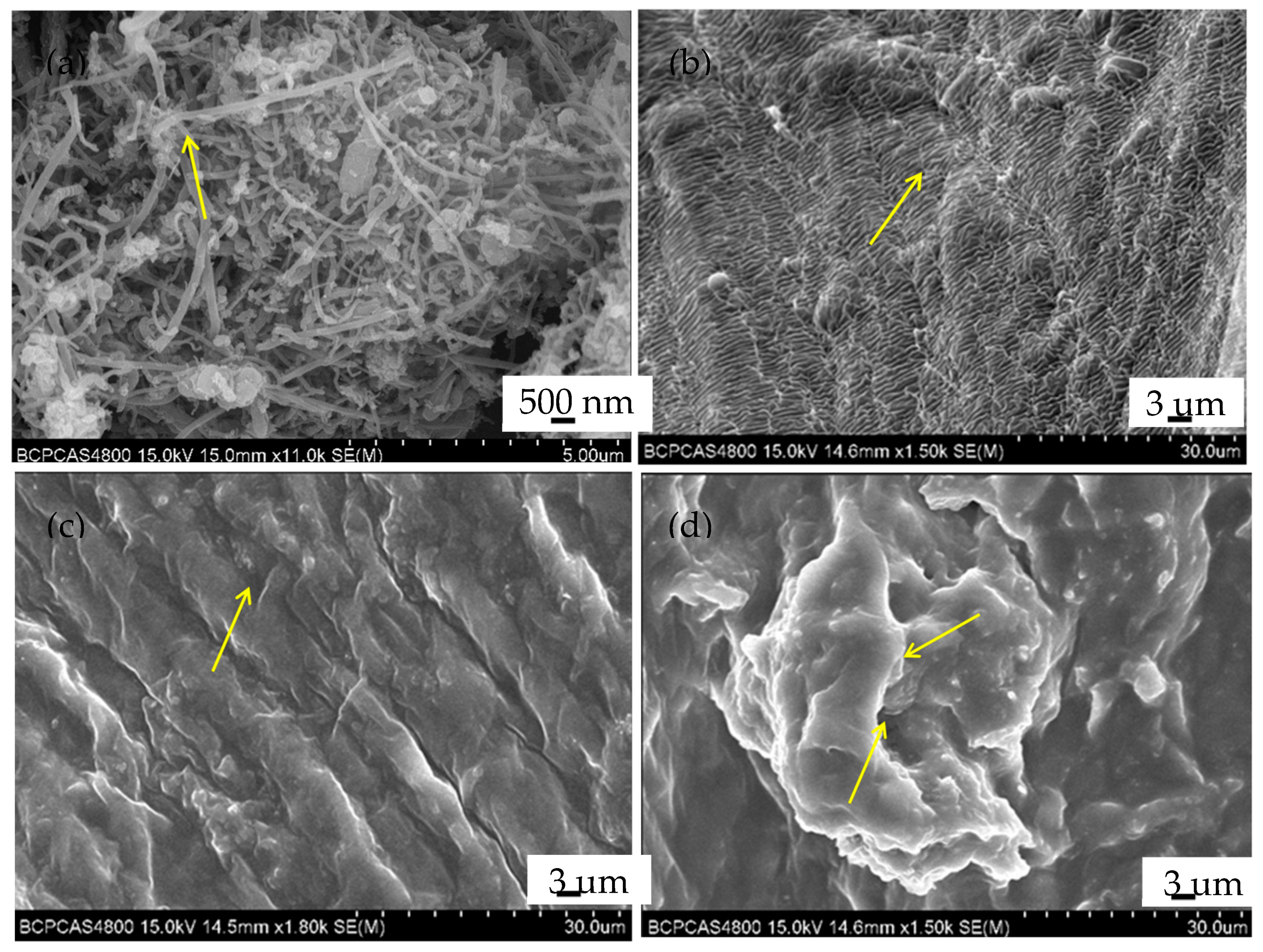 Preprints 95392 g013