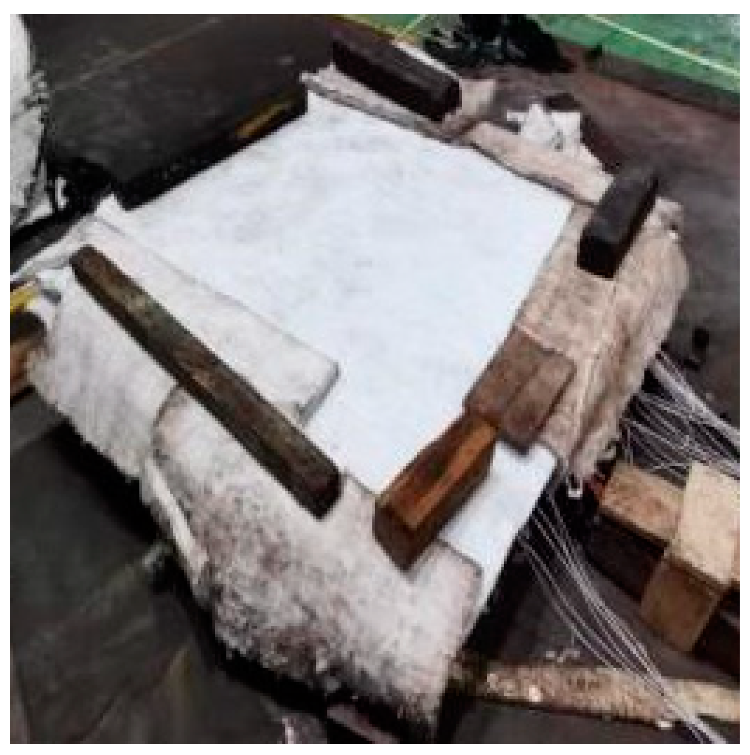 Preprints 156138 g004