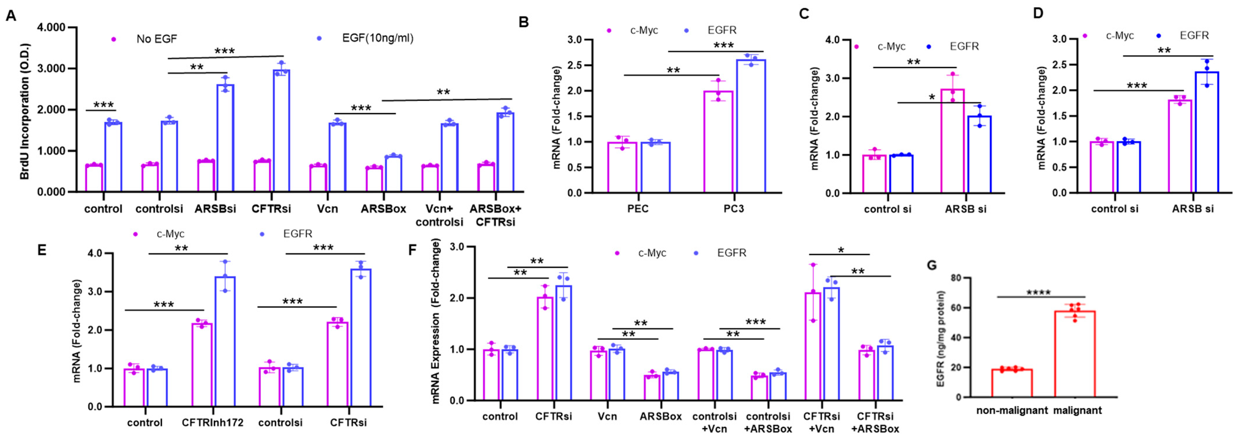 Preprints 157977 g004