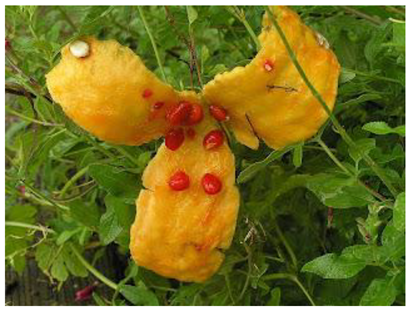 Preprints 172572 i004