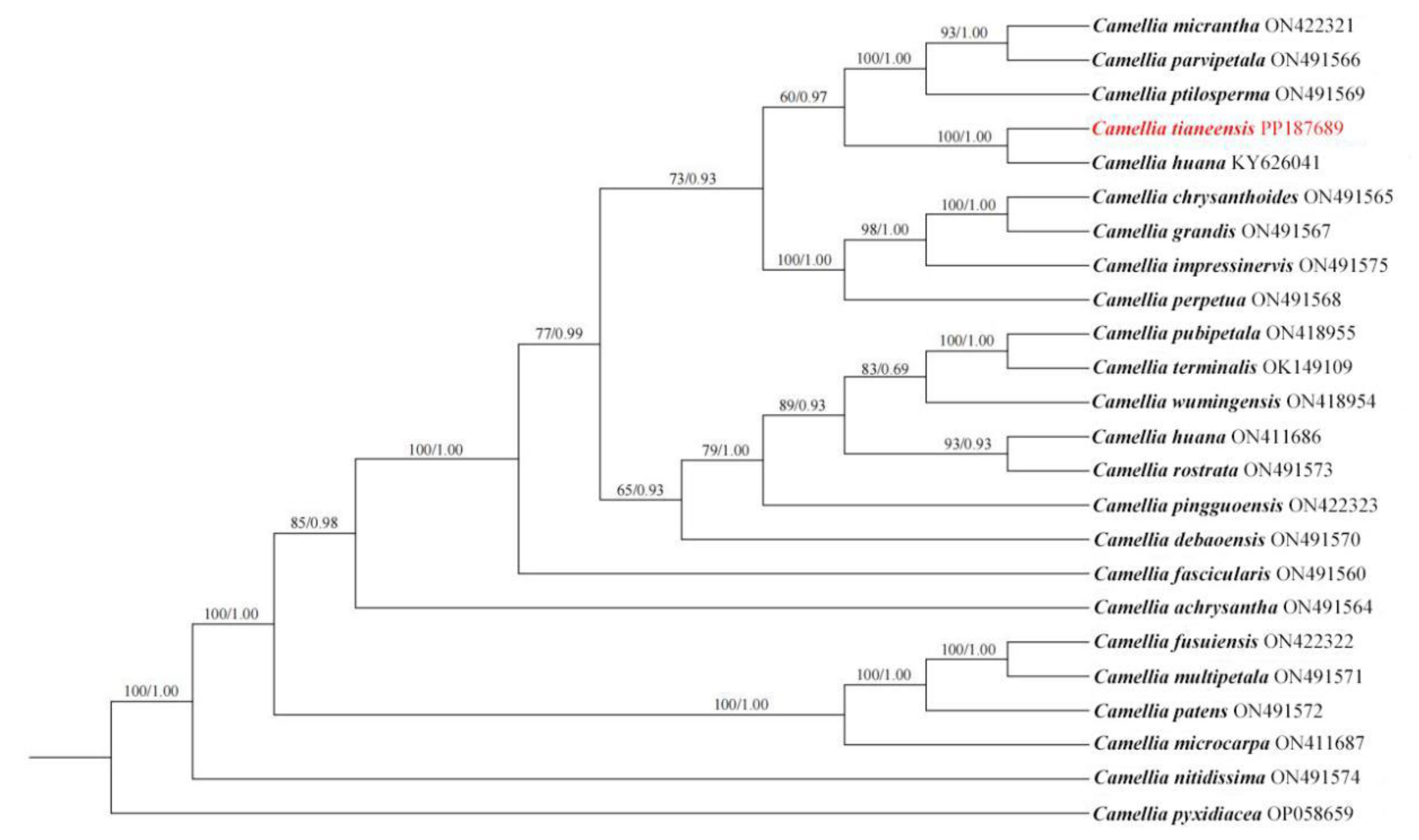Preprints 175971 g003
