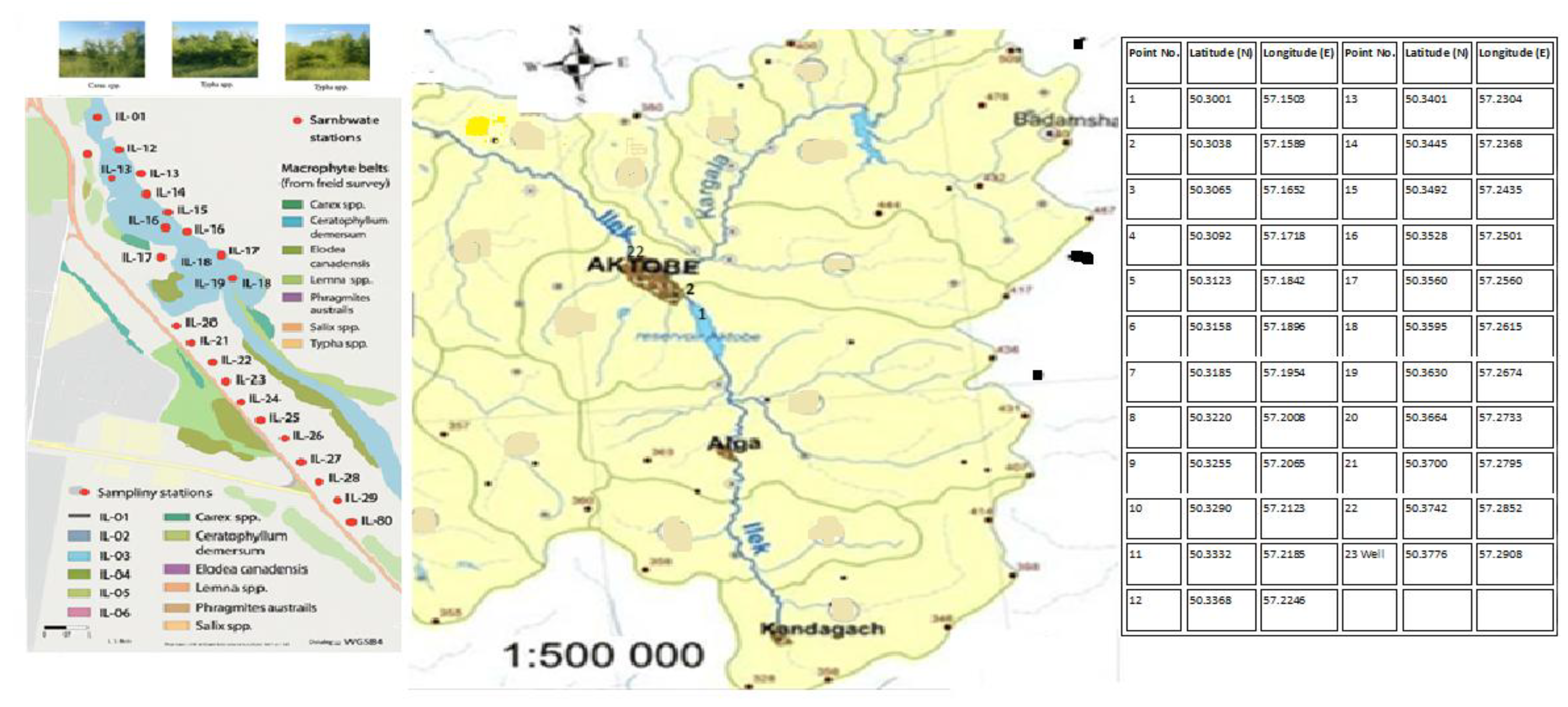 Preprints 175127 g001