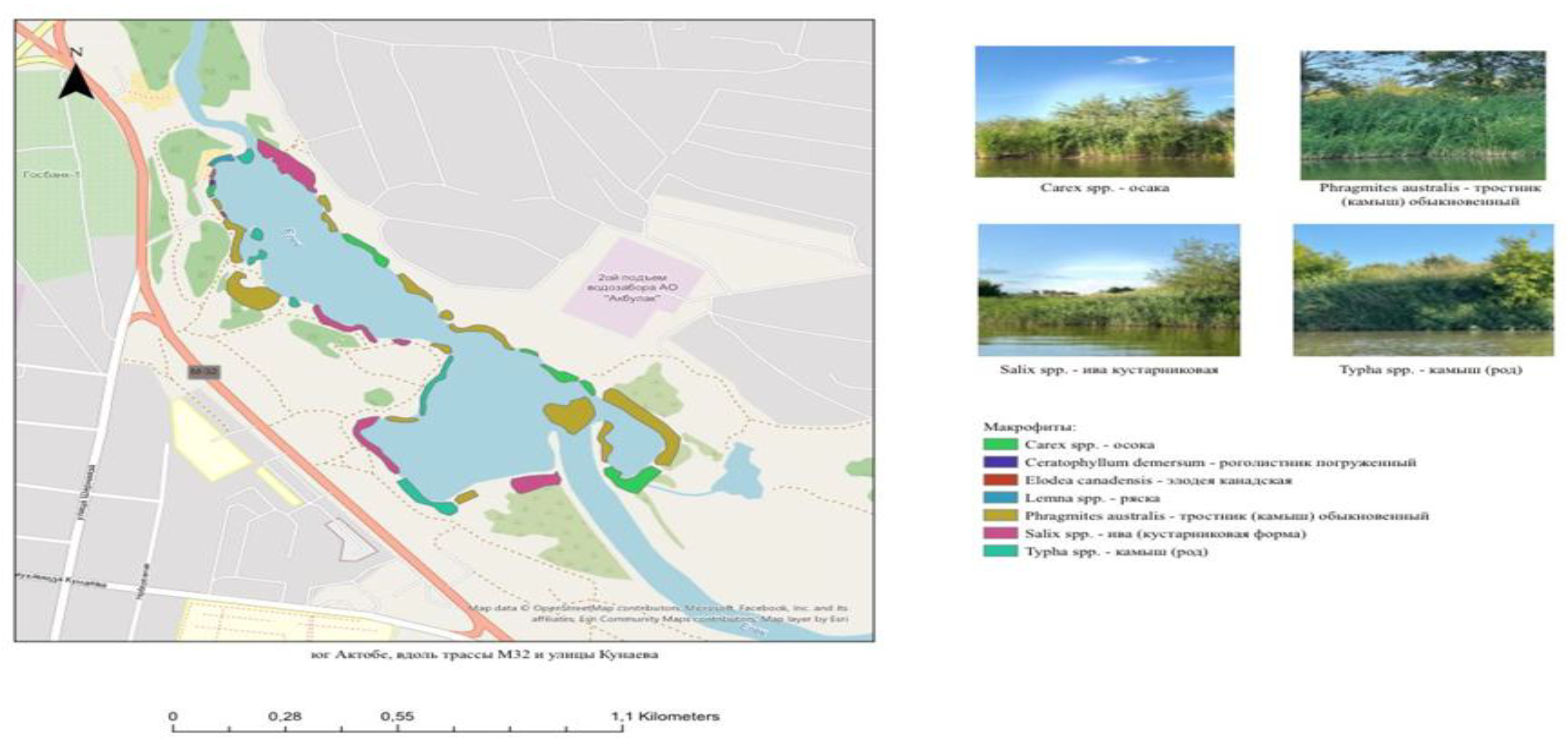 Preprints 175127 g002