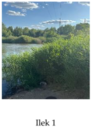 Preprints 175127 i001