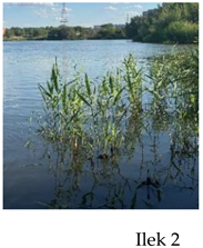 Preprints 175127 i002