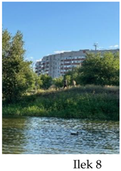 Preprints 175127 i008