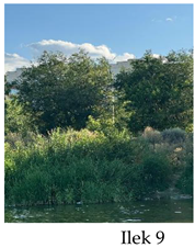 Preprints 175127 i009