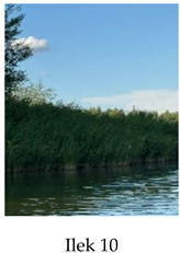 Preprints 175127 i010