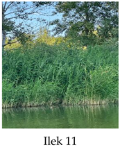 Preprints 175127 i011