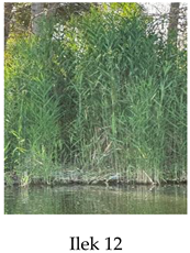 Preprints 175127 i012