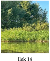 Preprints 175127 i014