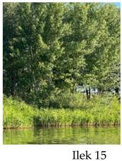 Preprints 175127 i015