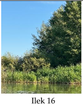 Preprints 175127 i016