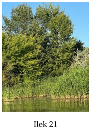 Preprints 175127 i021