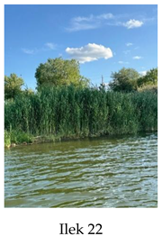 Preprints 175127 i022