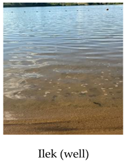 Preprints 175127 i023